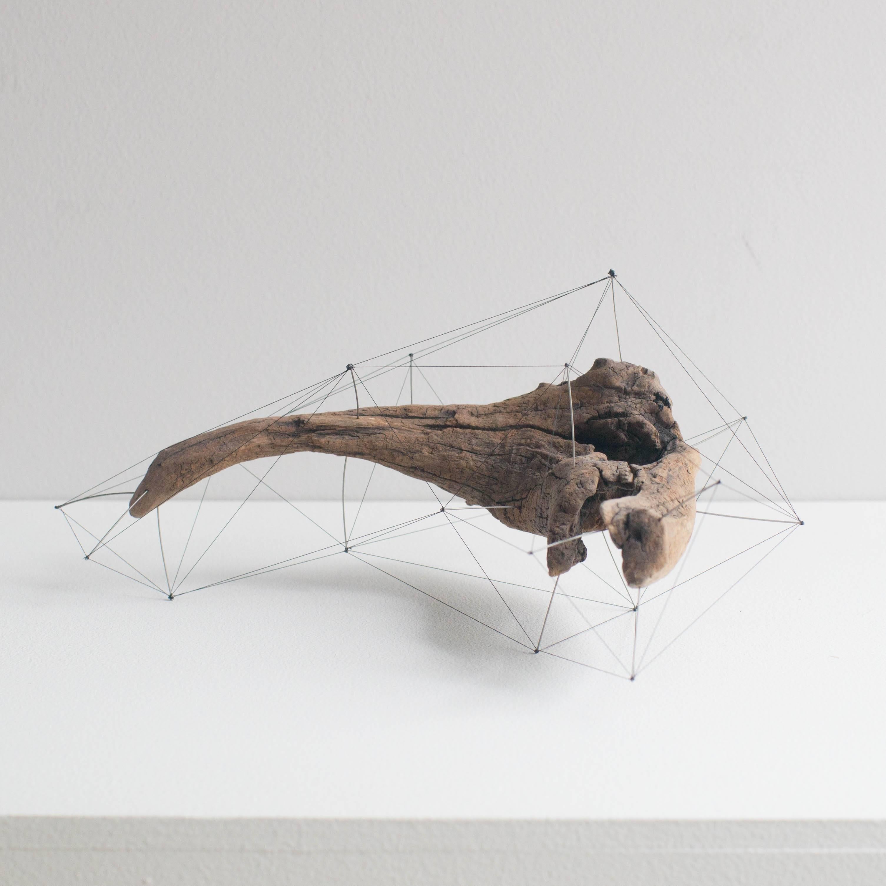 Minimalist Crust of the Polygon 02 Norihiko Terayama Driftwood Sculpture