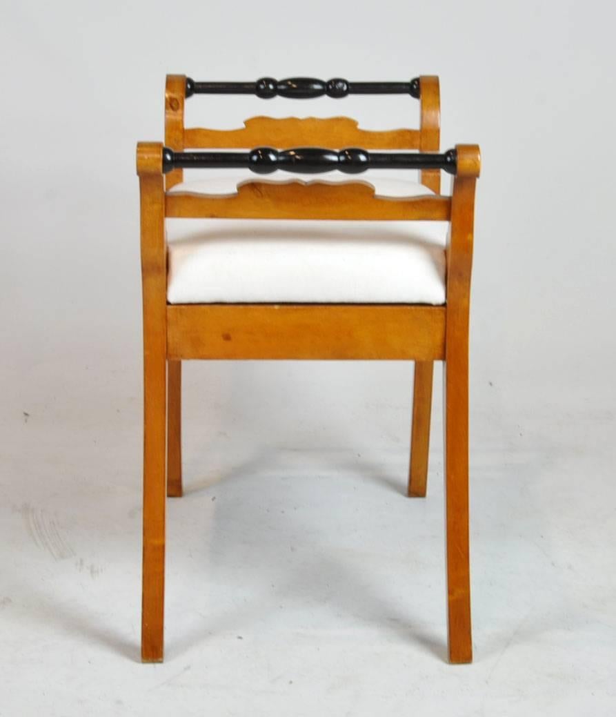 Pair of 1840s Biedermeier Benches or Stools In Good Condition In Ft. Lauderdale, FL