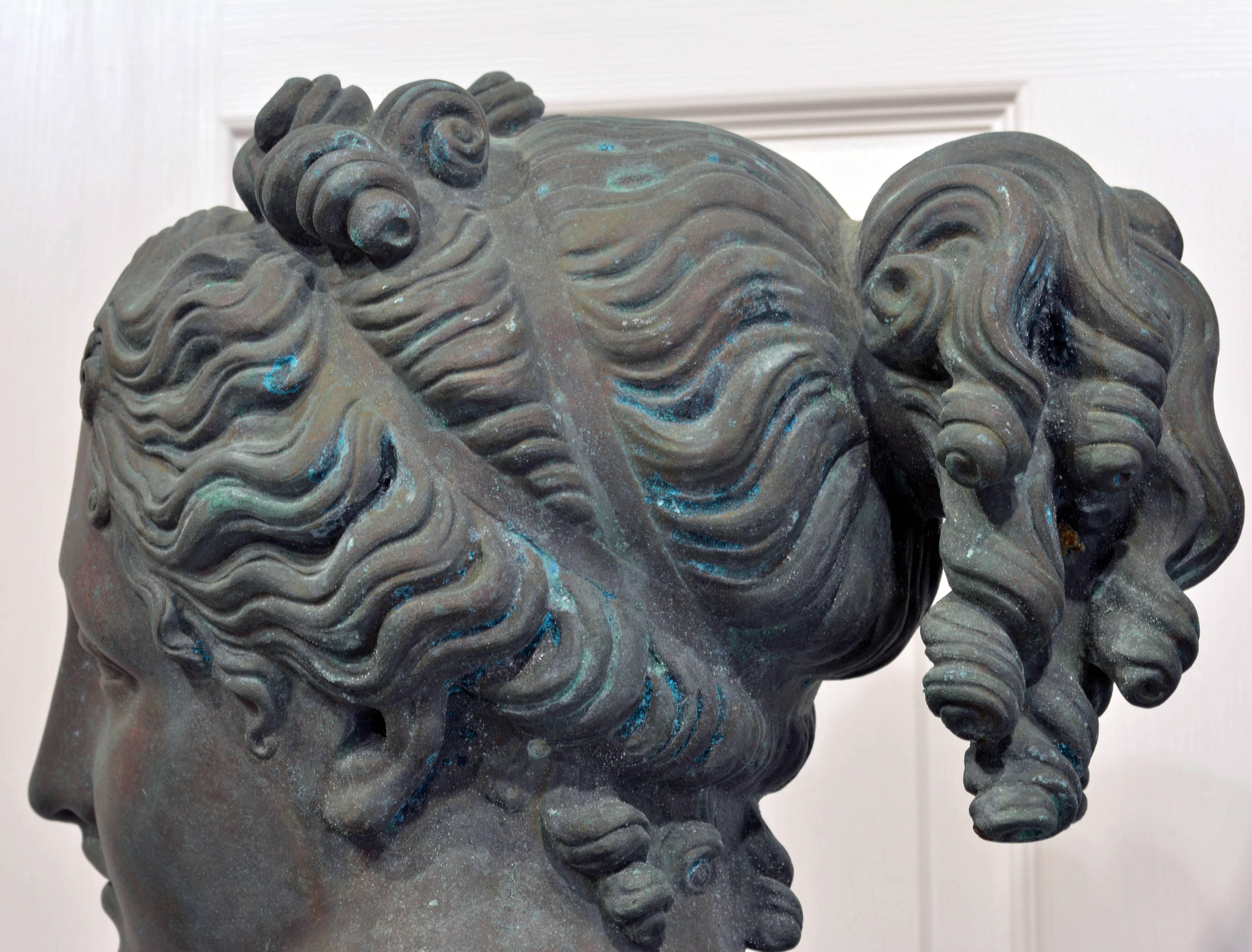 Pair of 19th Century Italian Neoclassical Bronze Busts of Ganymede and Hebe 3