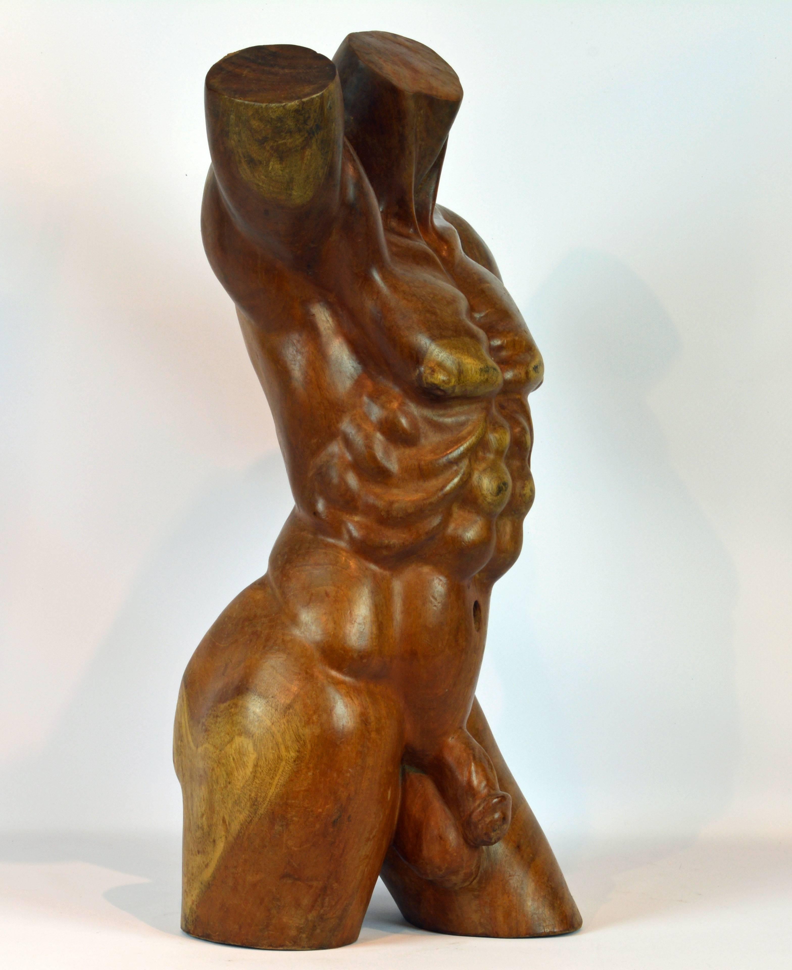 Standing more than 25 inches tall this male torso is impressive. Not totally naturalistic this sculpture has Expressionist features in the modeling of body details making it a striking piece of art. It is carved in a beautifully grained hardwood and