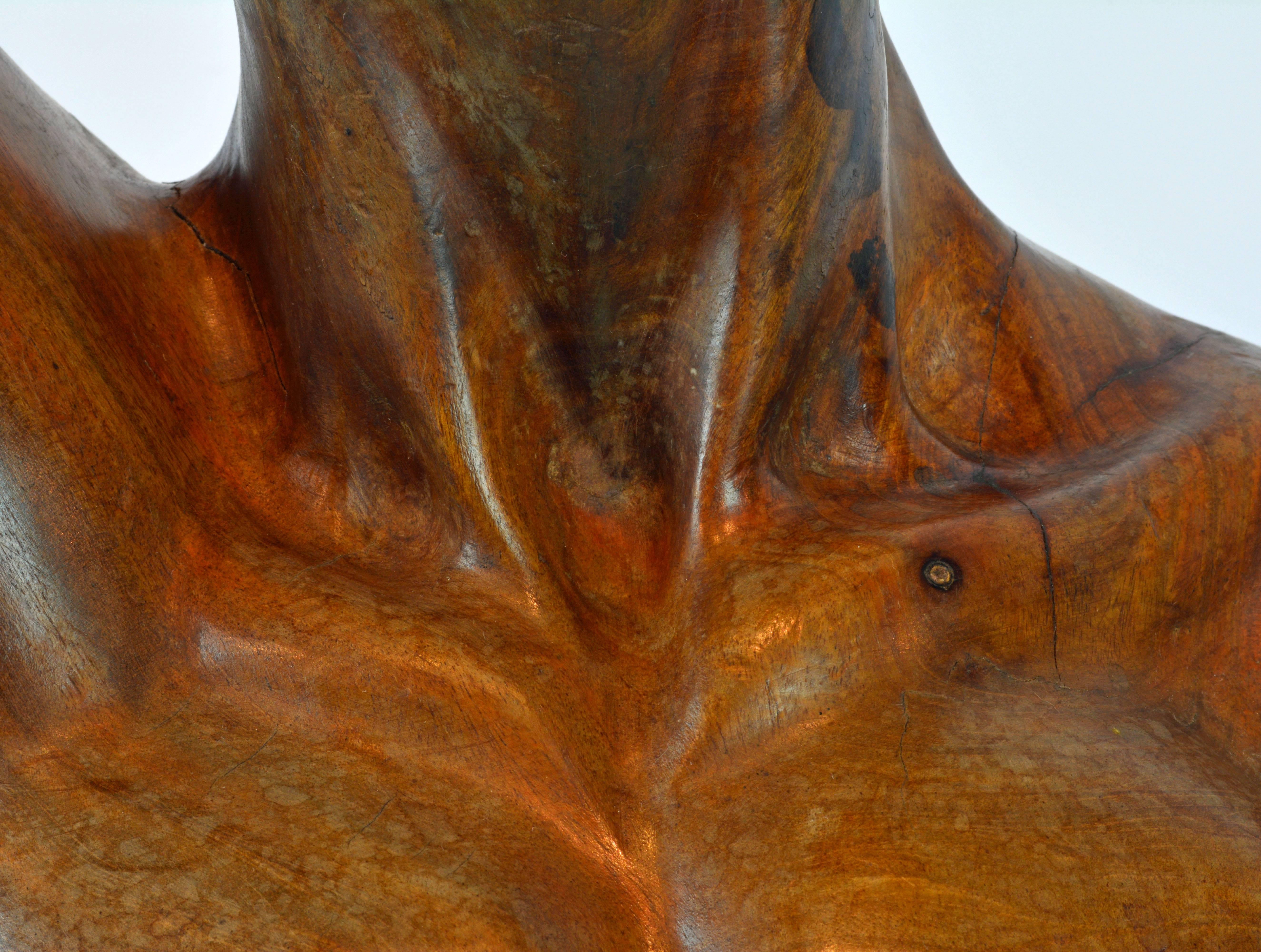 Striking Vintage Mid-Century Expressionist Style Carved Male Hardwood Torso In Good Condition In Ft. Lauderdale, FL