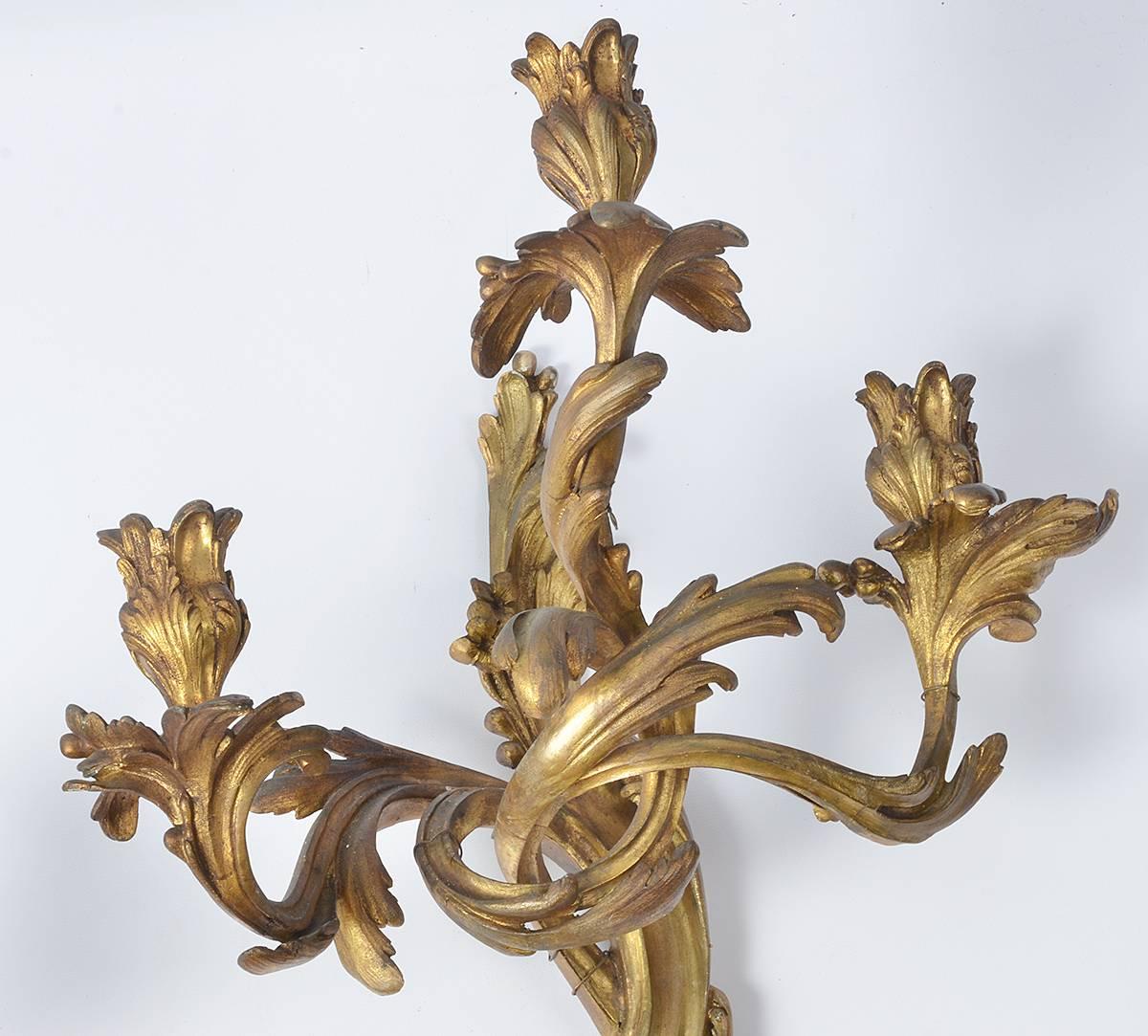 Pair of Louis XV style gilt bronze sconces. Mid-19th century. French wall sconces. Very good condition.