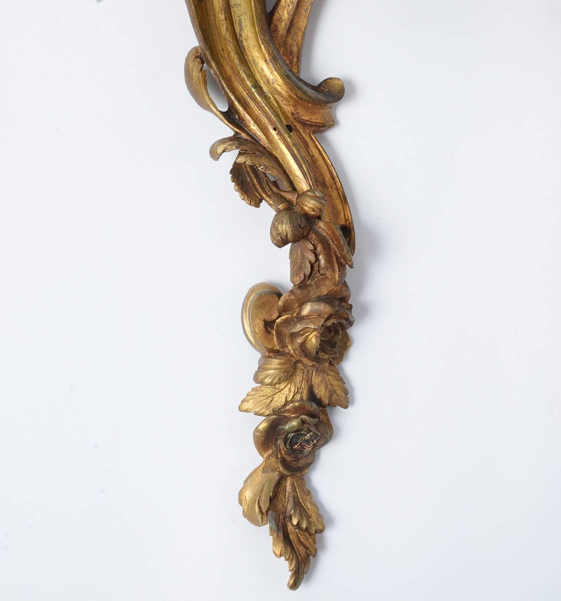 Pair of French Mid-19th Century Louis XV Style Gilt Bronze Sconces In Good Condition In Ft. Lauderdale, FL