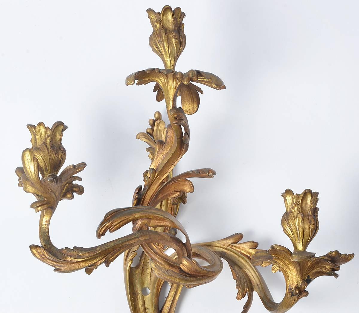 Pair of French Mid-19th Century Louis XV Style Gilt Bronze Sconces 1