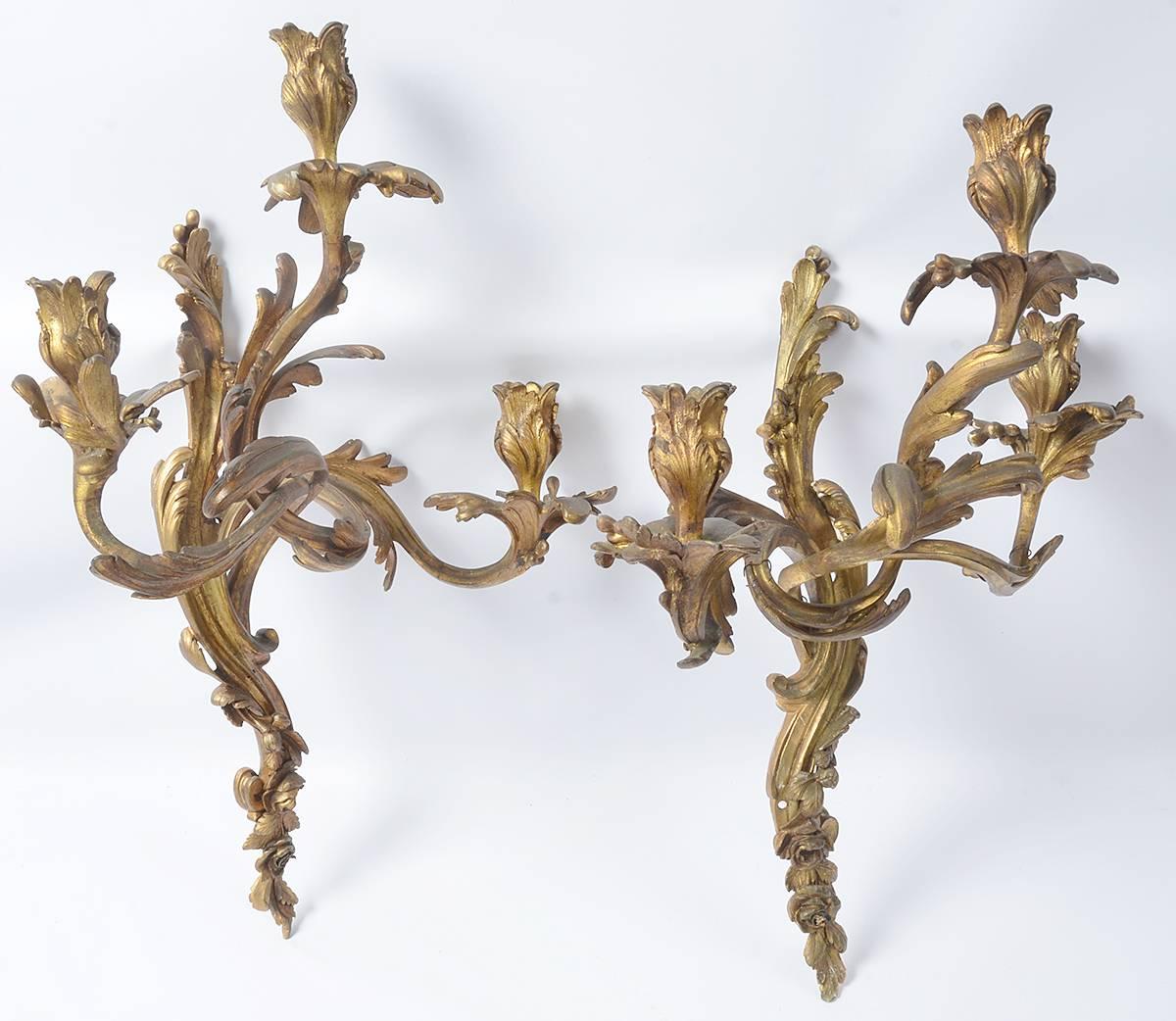 Pair of French Mid-19th Century Louis XV Style Gilt Bronze Sconces 3