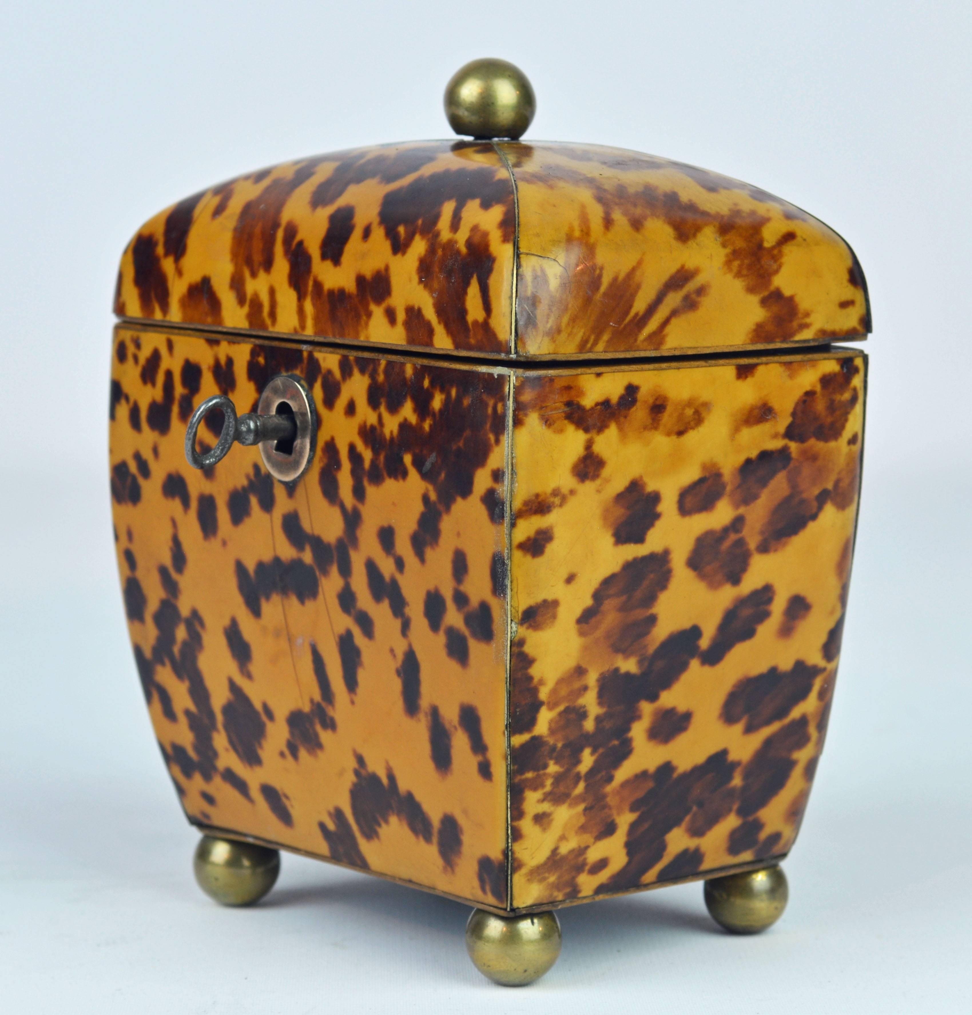 For connoisseurs this small tea caddy is a gem. All surfaces are clad with brass stringed tortoise shell and the domed body elegantly raised on brass ball feet complimented by the similar brass ball knob. The lid with functioning lock and key opens