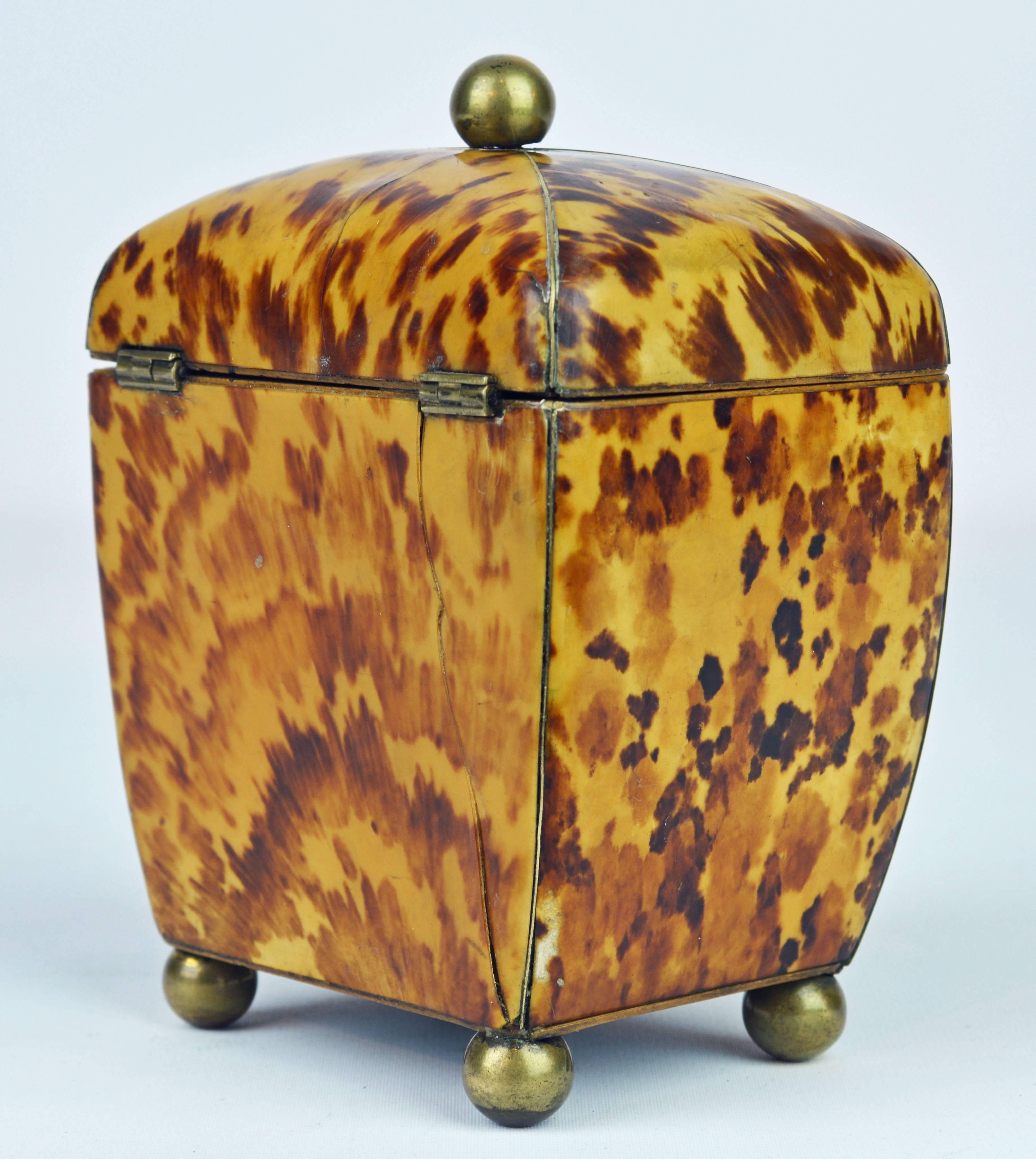 Small Early 19th Century Georgian Tortoise Shell Tea Caddy with Brass Ball Feet In Good Condition In Ft. Lauderdale, FL
