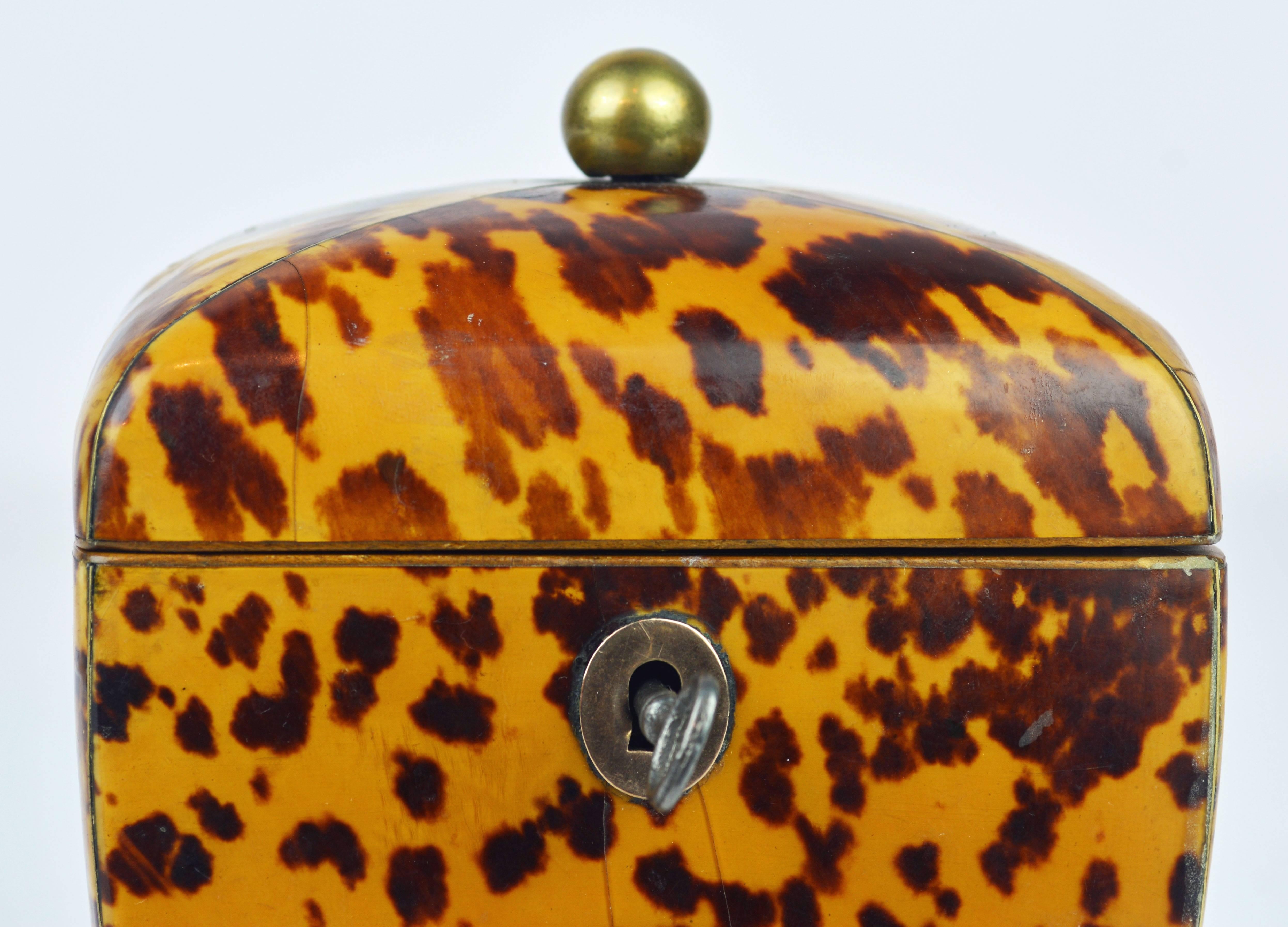 Small Early 19th Century Georgian Tortoise Shell Tea Caddy with Brass Ball Feet 1