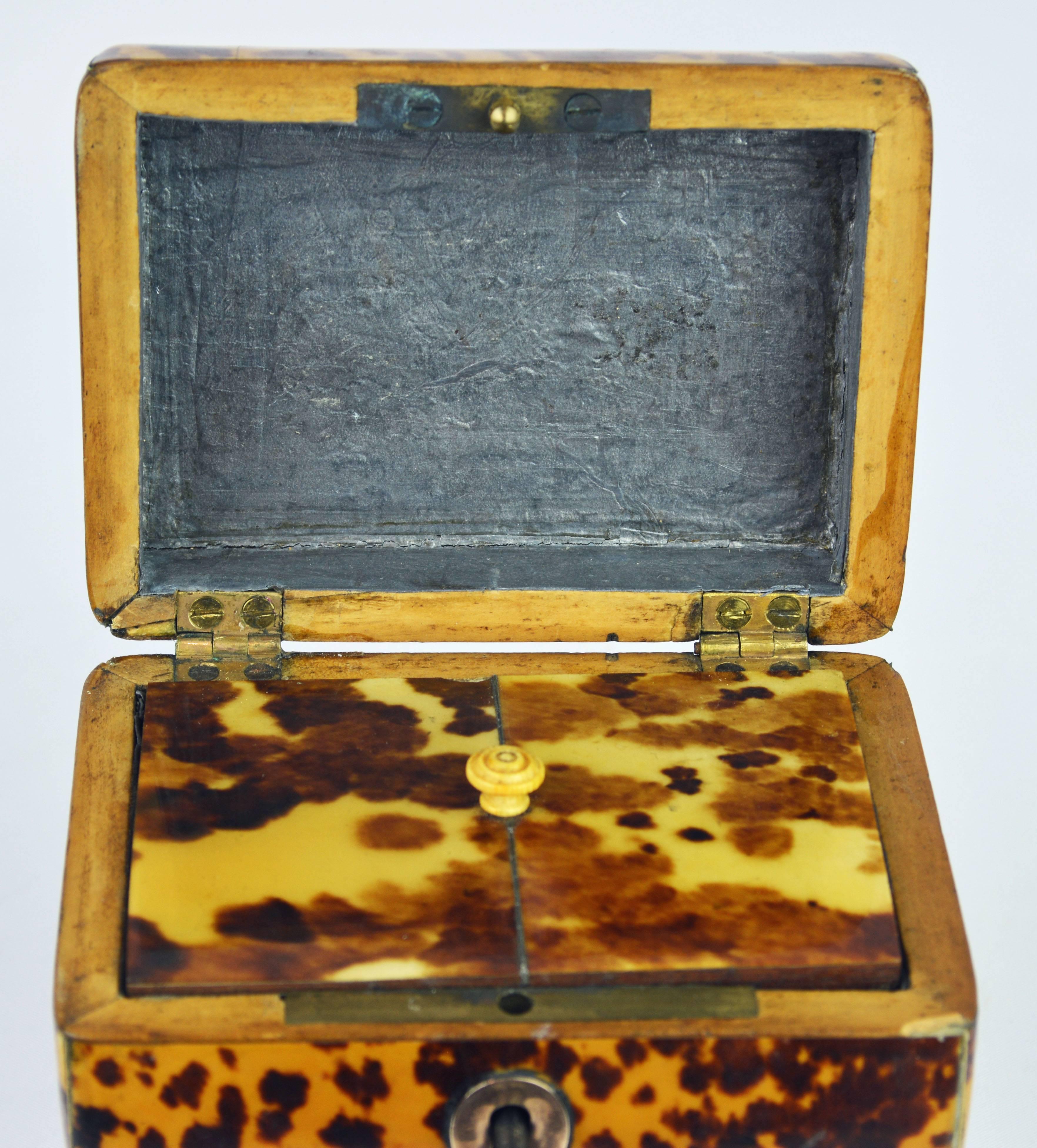 Small Early 19th Century Georgian Tortoise Shell Tea Caddy with Brass Ball Feet 3