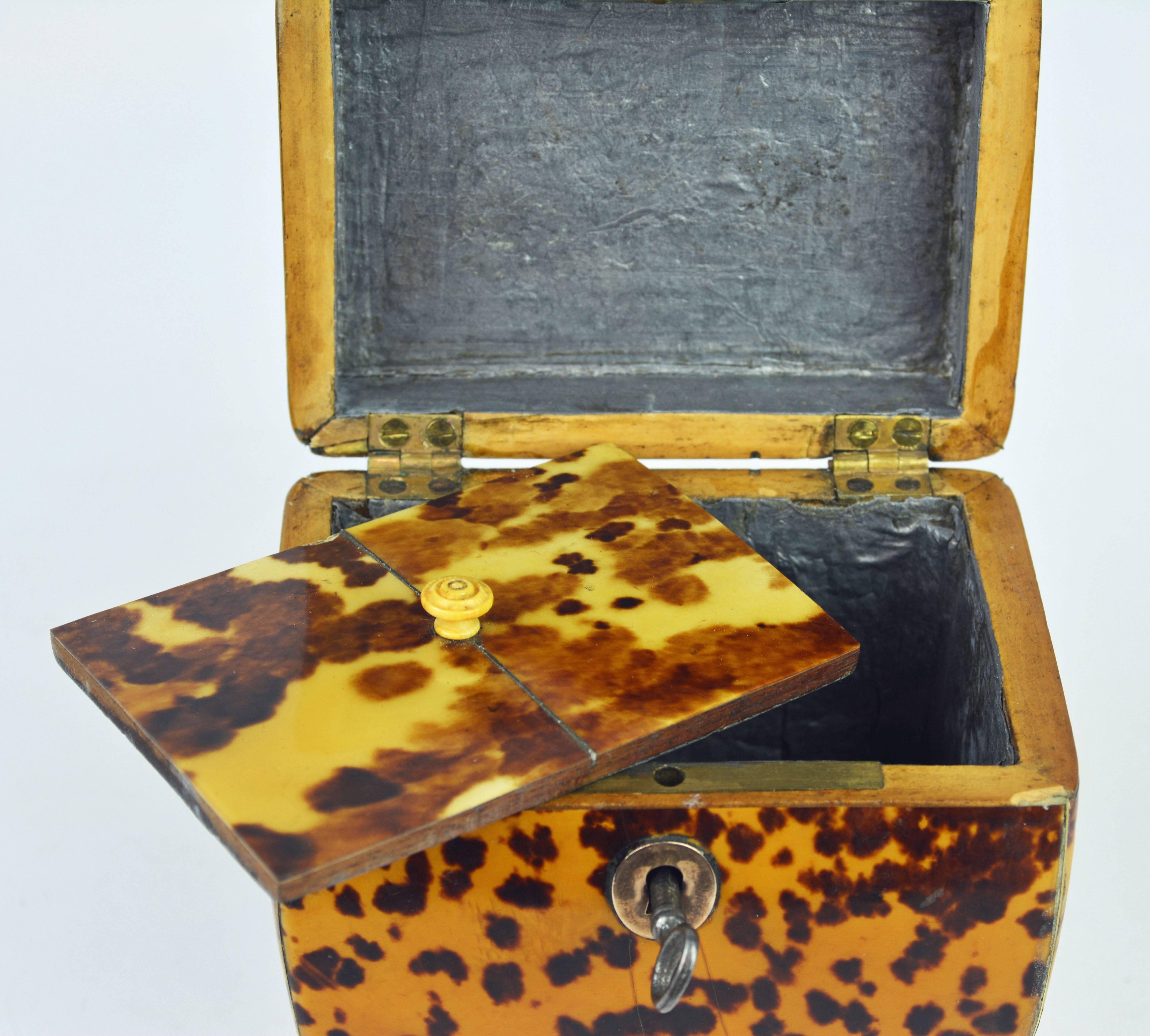 Small Early 19th Century Georgian Tortoise Shell Tea Caddy with Brass Ball Feet 4