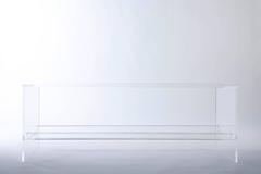 Transparent Acrylic Coffee Table with Multi-Purpose Sub-Surface Terrarium