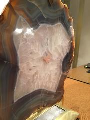 Italian Retro Illuminated Fossil Table Lamp, Made in Italy 2000's