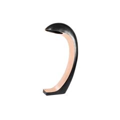 Nautilus Study Floor Lamp by Christopher Kreiling