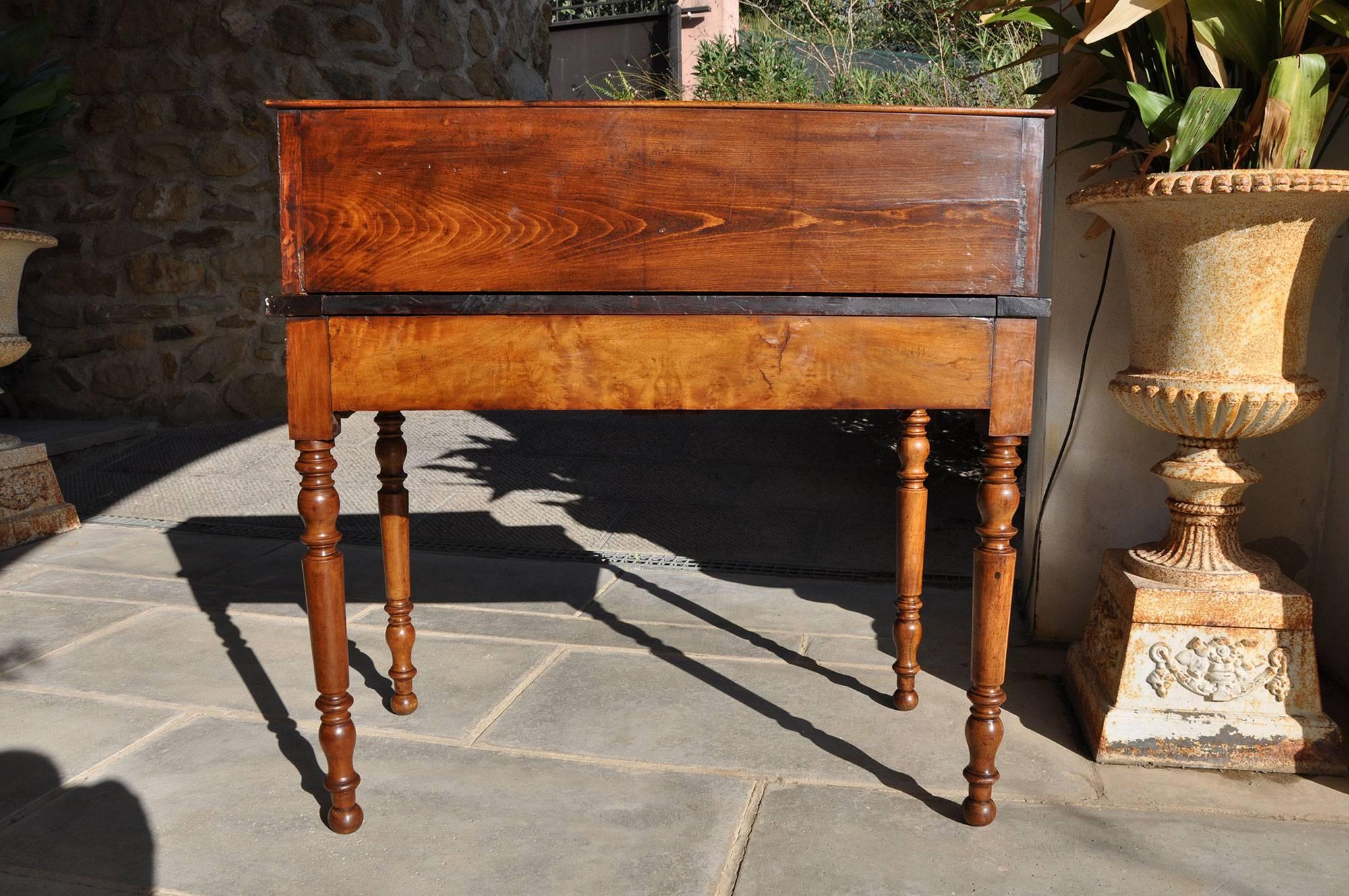 19th Century Walnut and Root Wood Desk In Excellent Condition For Sale In Arezzo, IT