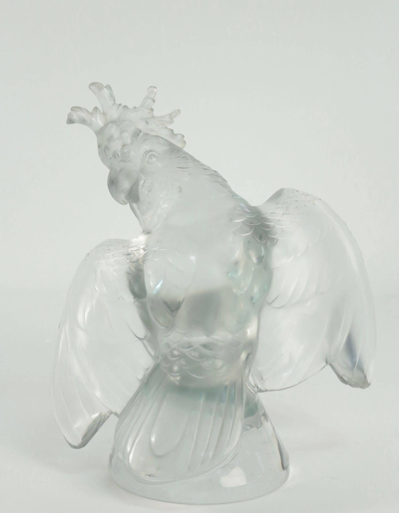 Lalique France  Cacatoes 