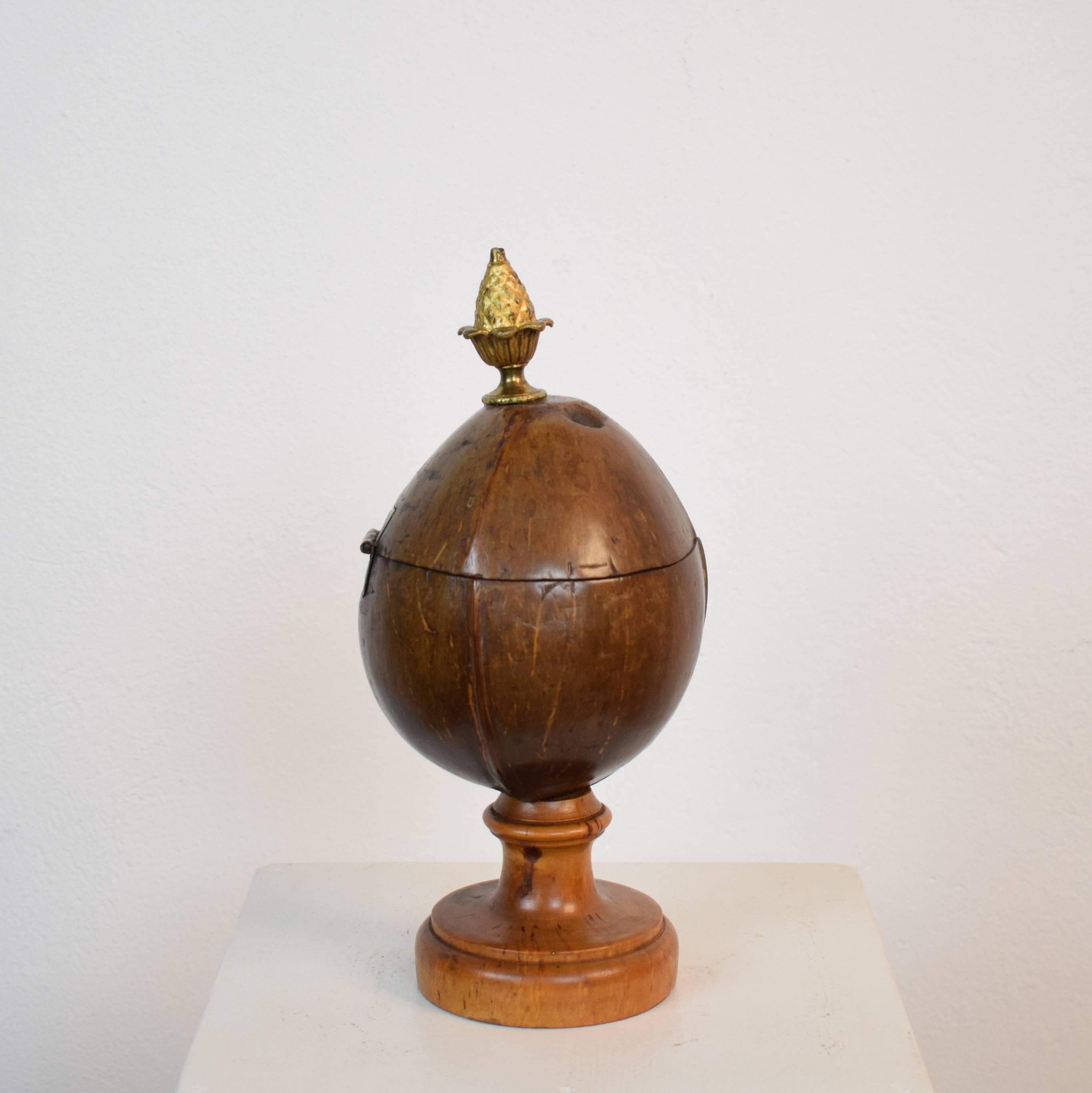 Early 19th Century, German Coconut Box on a Turned Wooden Stand In Excellent Condition In Berlin, DE