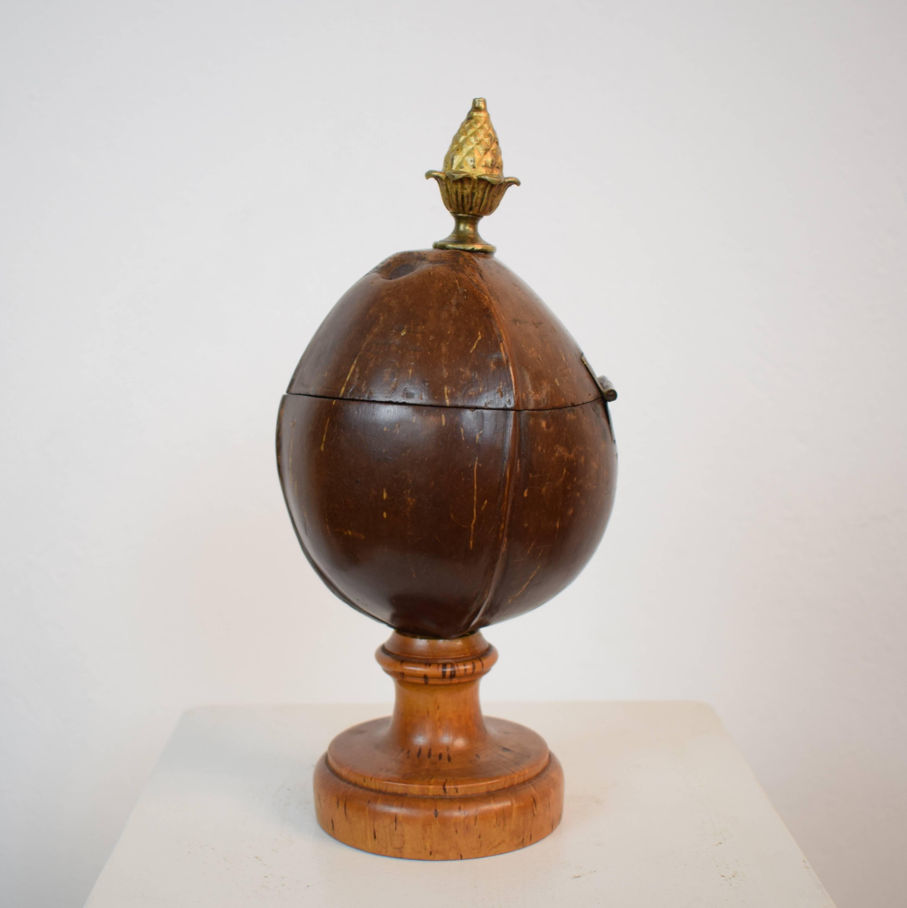 Early 19th Century, German Coconut Box on a Turned Wooden Stand 1