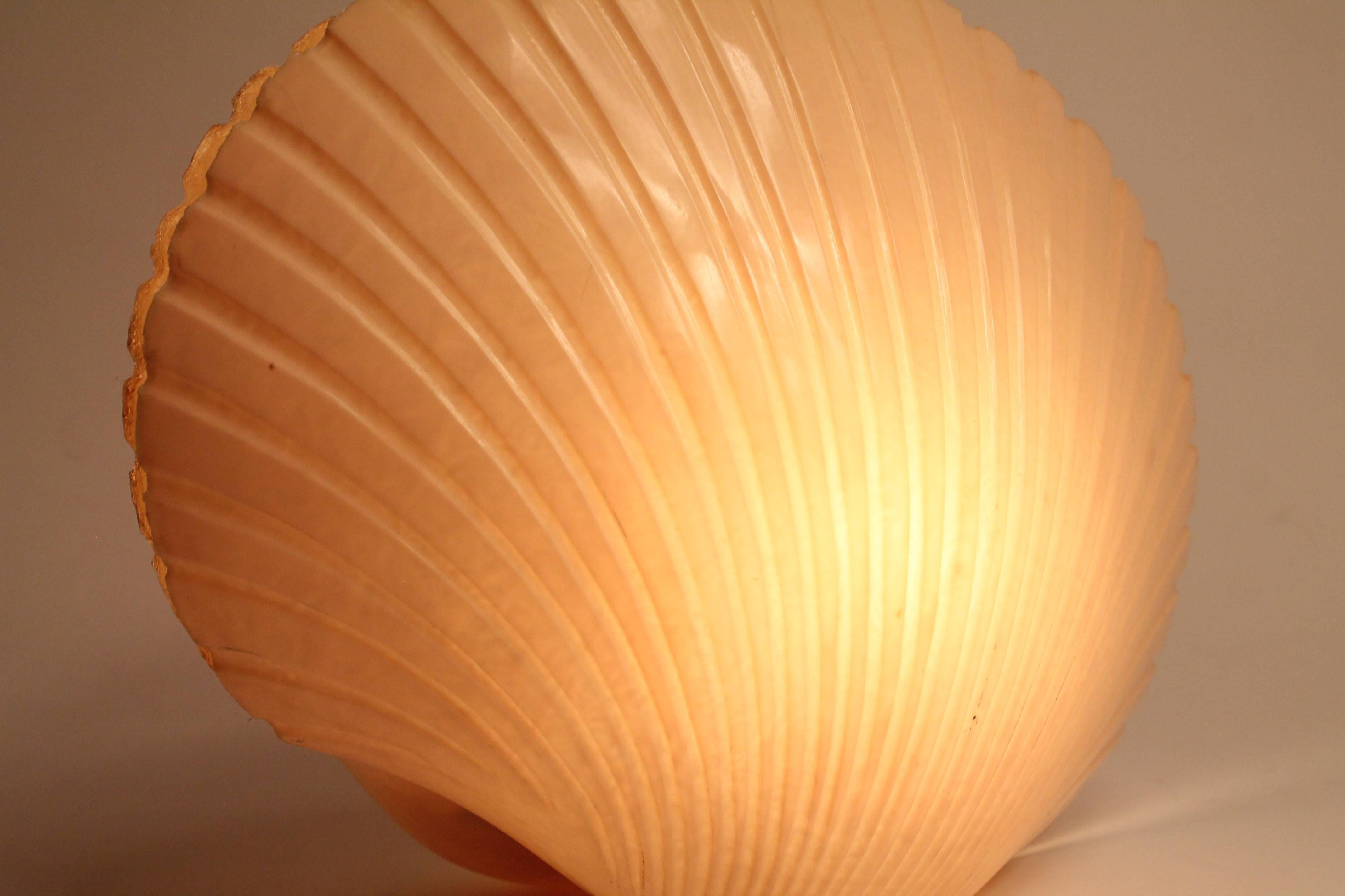 Andre Cazenave Fiberglass Shell Table Lamp for Atelier A France Vintage, 1970s 1
