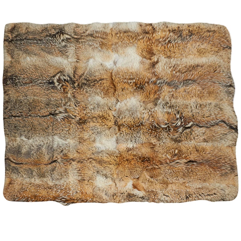 Coyote Fur Blanket or Rug at 1stDibs