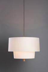 Lámpara colgante de lino, Nomen