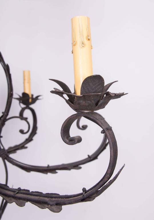 Wrought Iron Cage Form Eight Light Chandelier For At 1stdibs This Wrought Iron Cage Form Chandelier Has Eight Out Scrolling Electrified Candle Arms Emanating