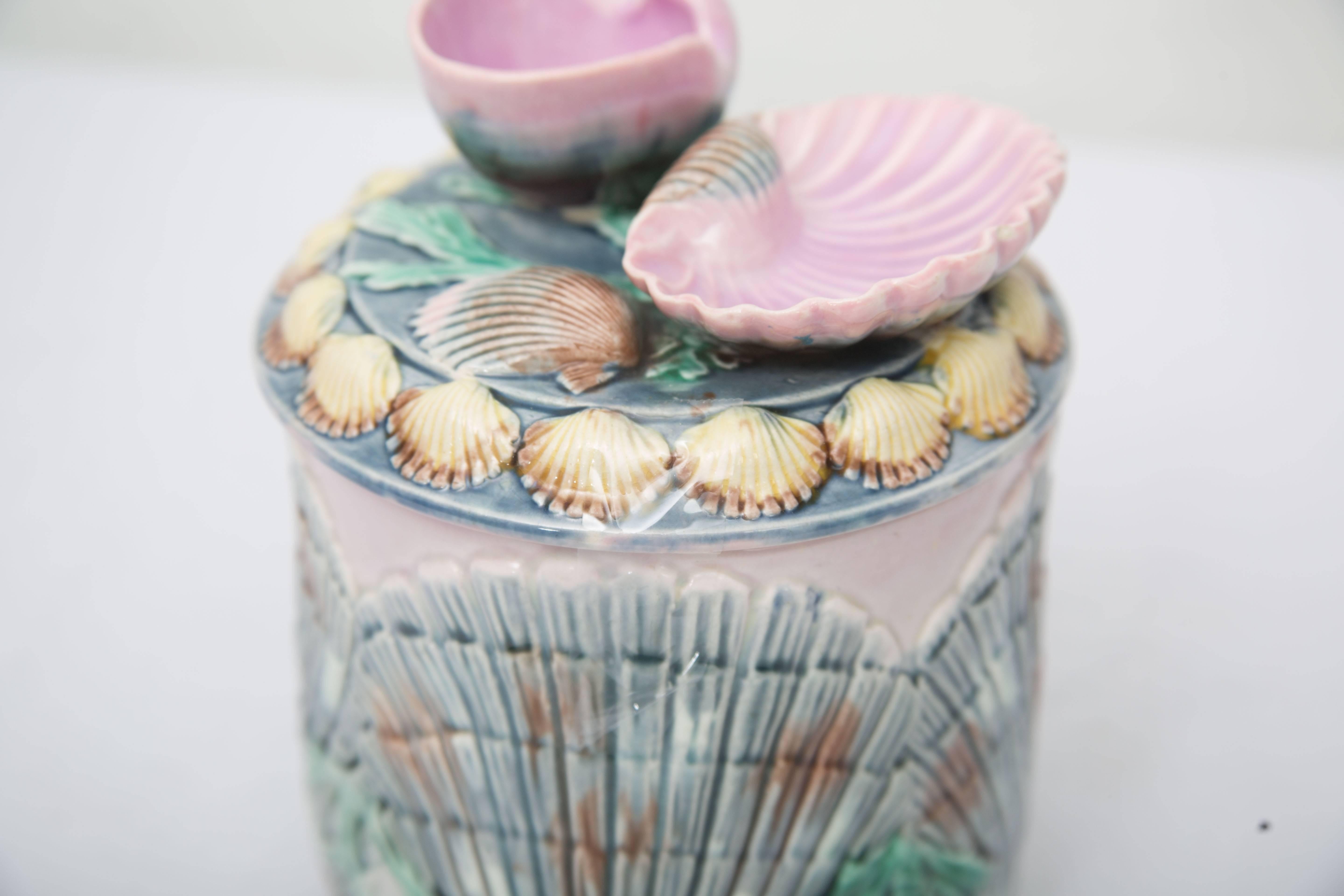Glazed 19th Century Shell and Seaweed Etruscan Majolica Lidded Jar For Sale