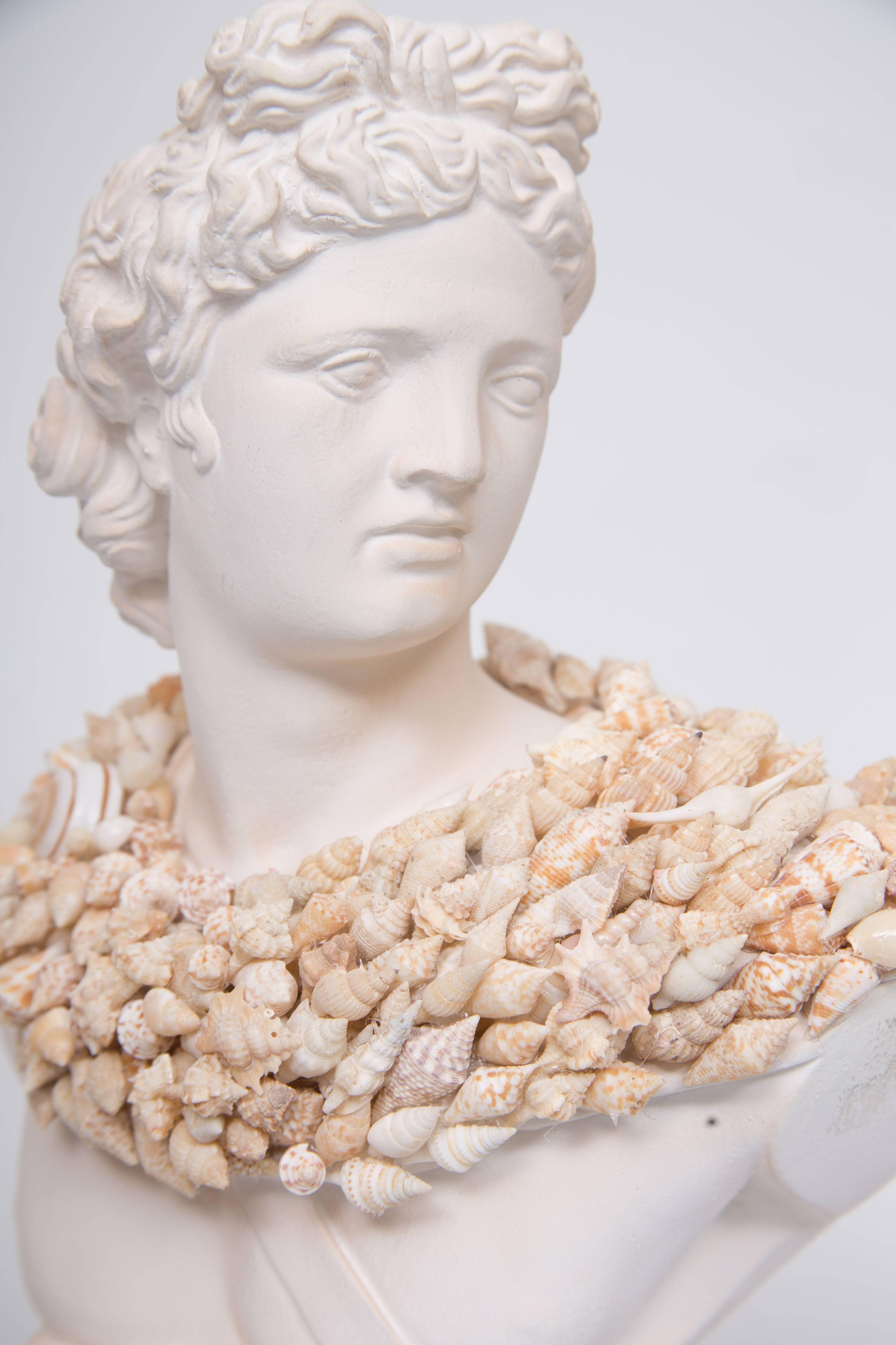 American Shell Encrusted Composition Bust For Sale