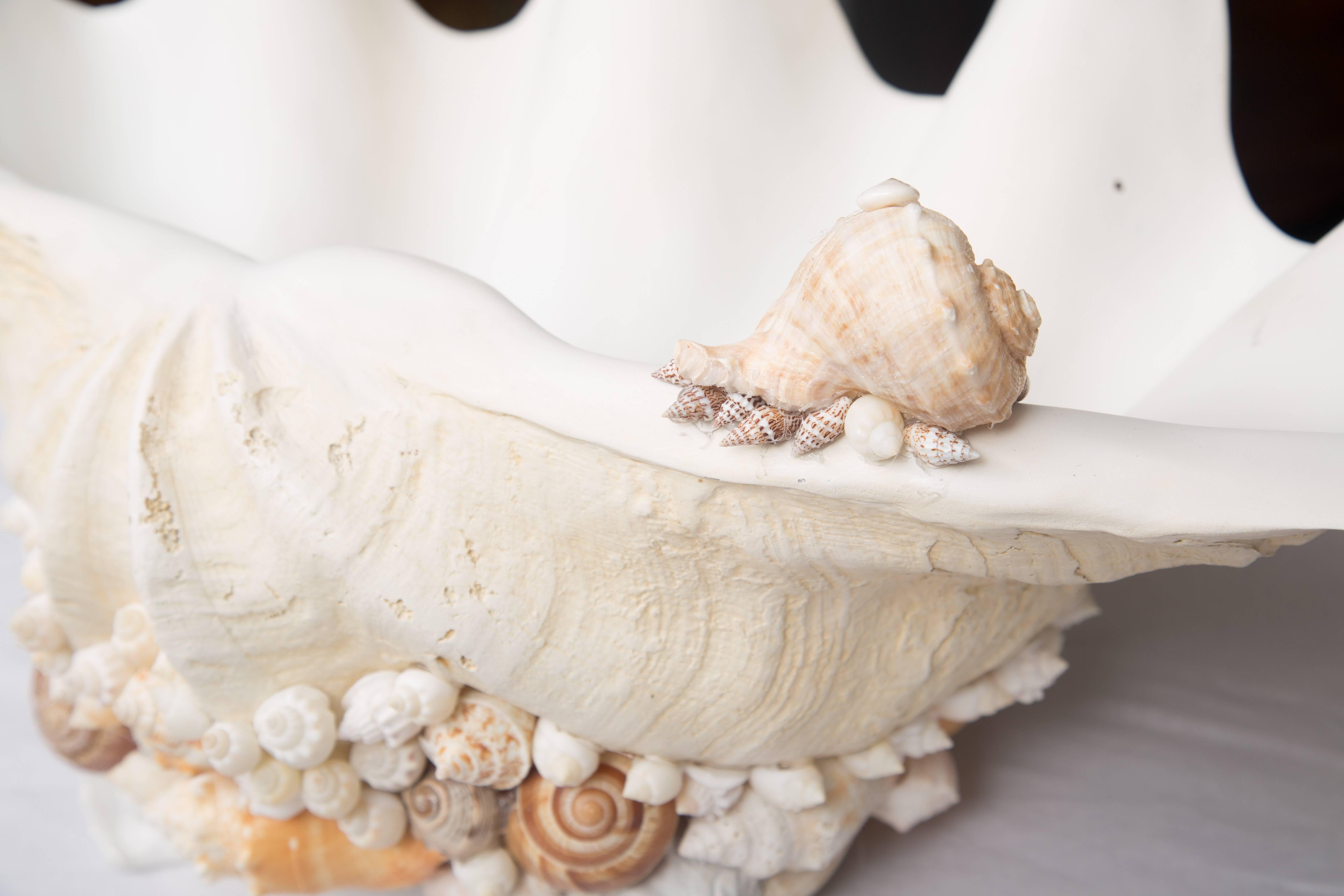 This splendid decoration represents the organic nature of the sea. The large clam shell composed in the form of a natural shell is decorated and encrusted with natural sea shells.