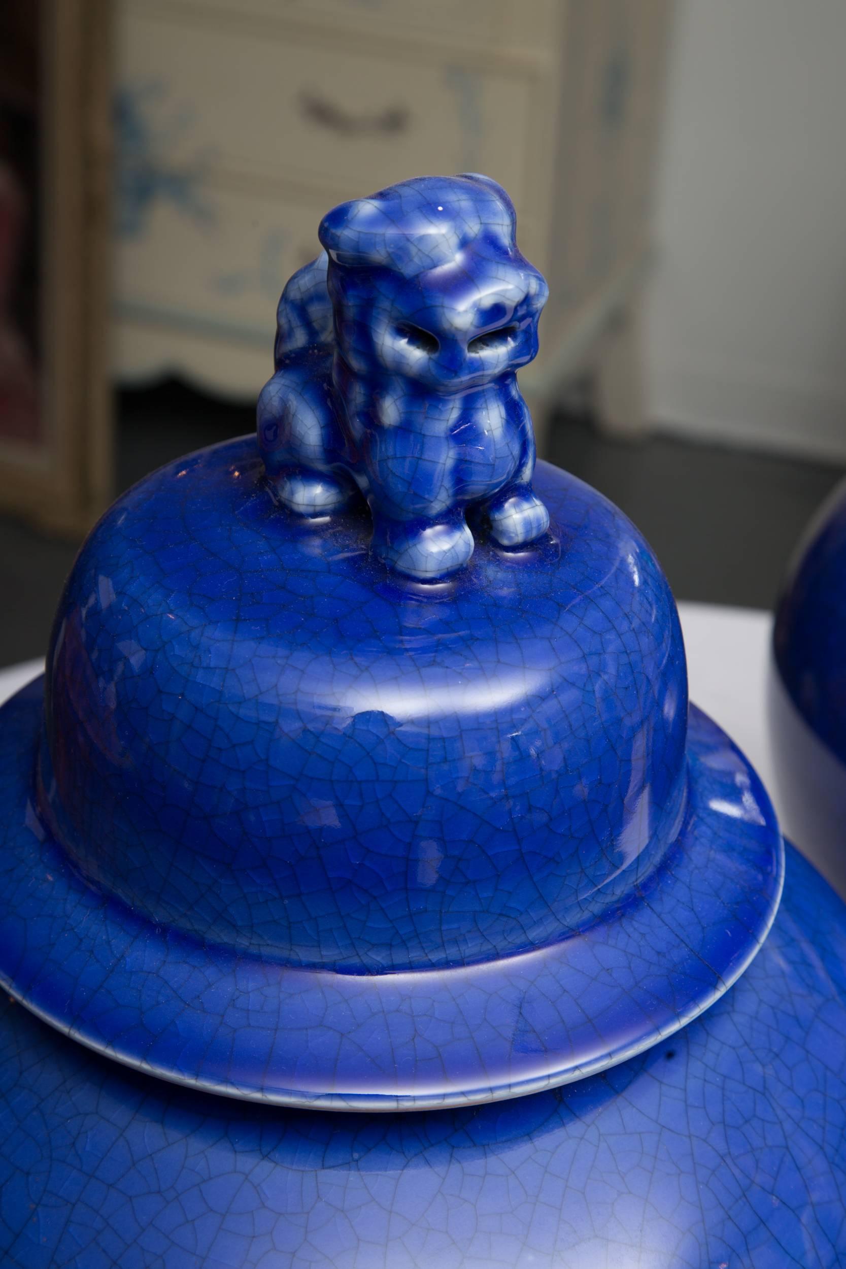 The color of these decorative urns is absolutely spectacular. The royal blue 'pops' with a crackled finish and a Foo Dog decoration on top of the lid. The hand made urns are Chinese, hand painted and fired. 20th Century
