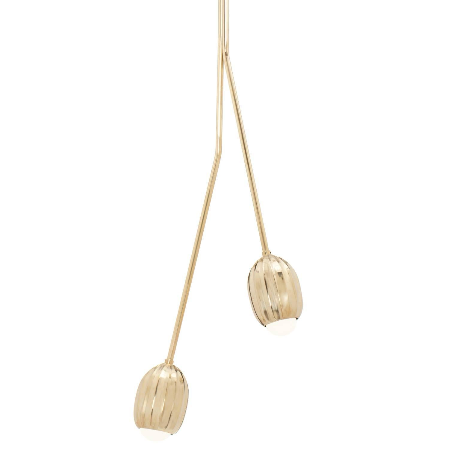 Poppy V. Floral Two-arm Chandelier in Lost Wax Cast Brass by Fred&Juul
