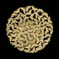 Farfalla da parete Johnnie Brass in fusione a cera persa di Fred&Juul