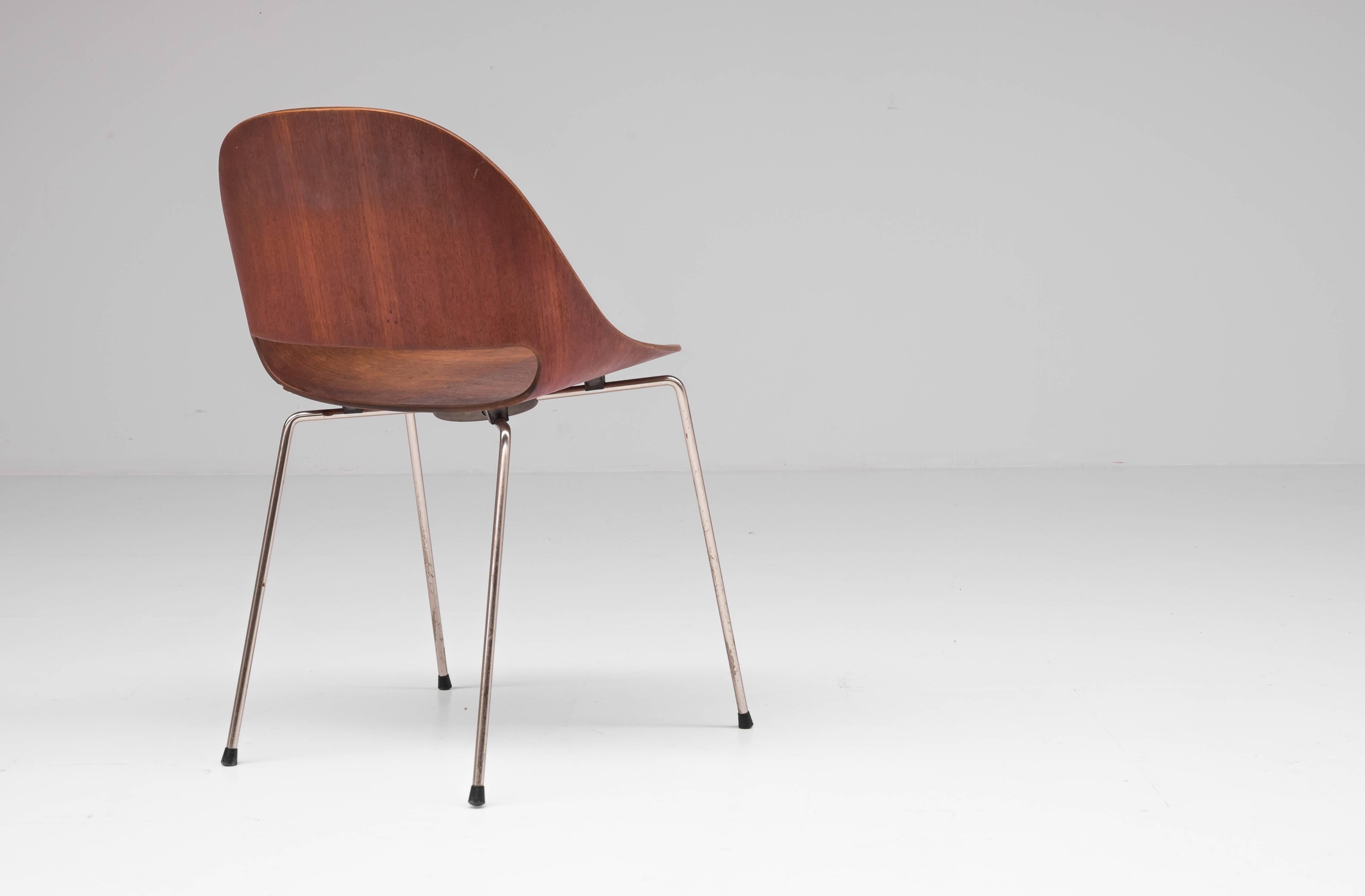 Mid-Century Modern SL58 Chair by Begian Architect Léon Stynen, 1950s For Sale