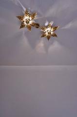 Willy Daro Style Brass Flowers Ceiling or Wall Light by Massive Lighting