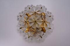 Flowers Glass and Brass Ceiling/Wall Light, Ernst Palme, circa 1970s, German