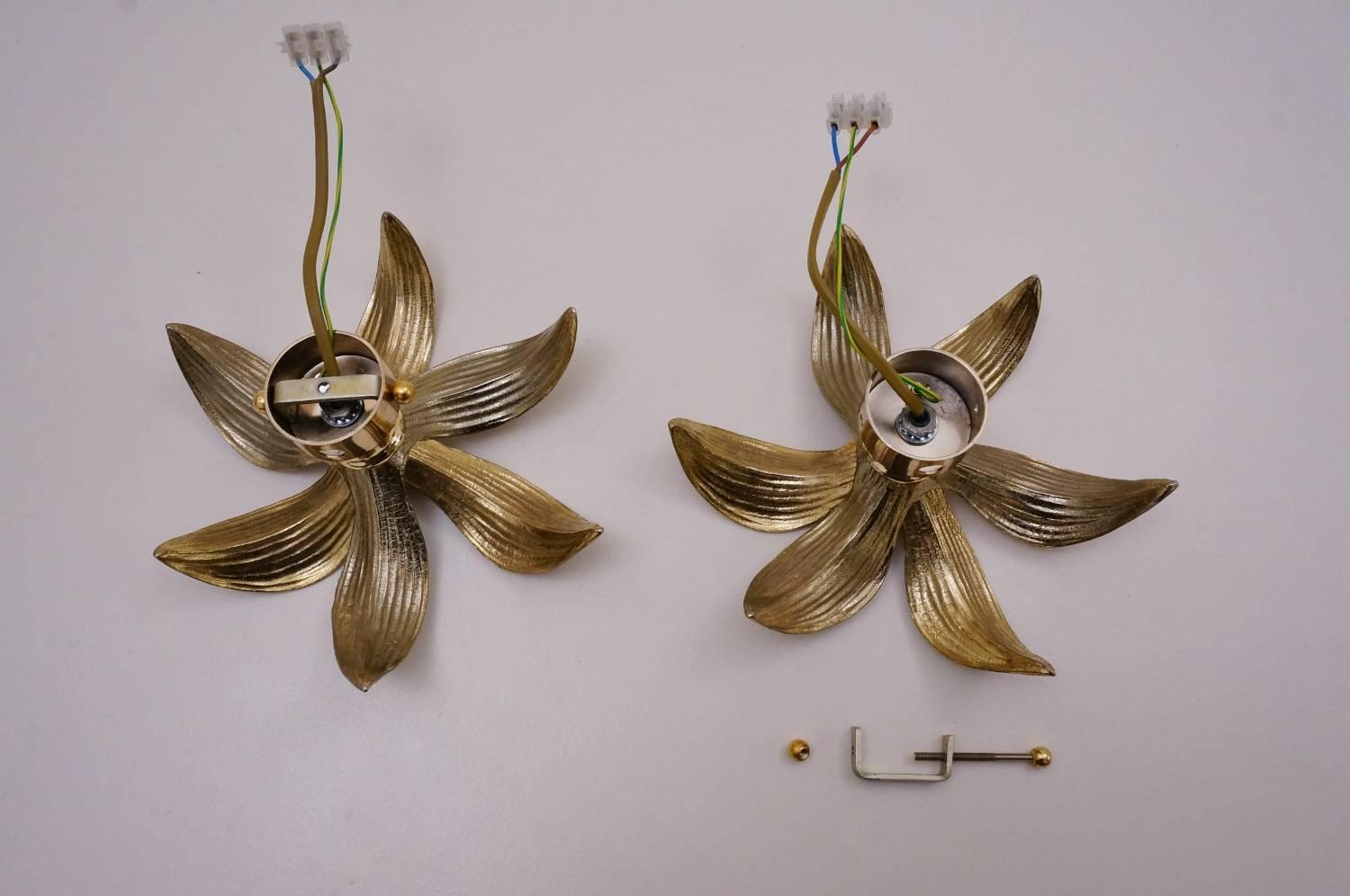 Brass Flower Wall Lights, a Pair by Massive, 1970s, Belgian, Willy Daro Style 1