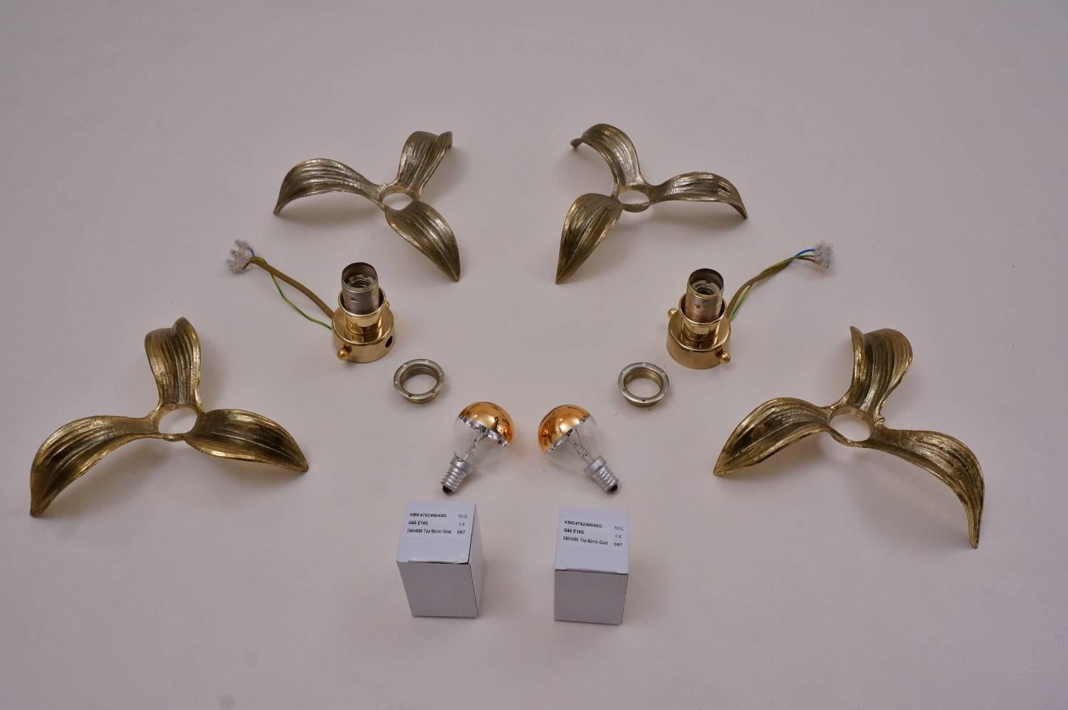 Brass Flower Wall Lights, a Pair by Massive, 1970s, Belgian, Willy Daro Style 2