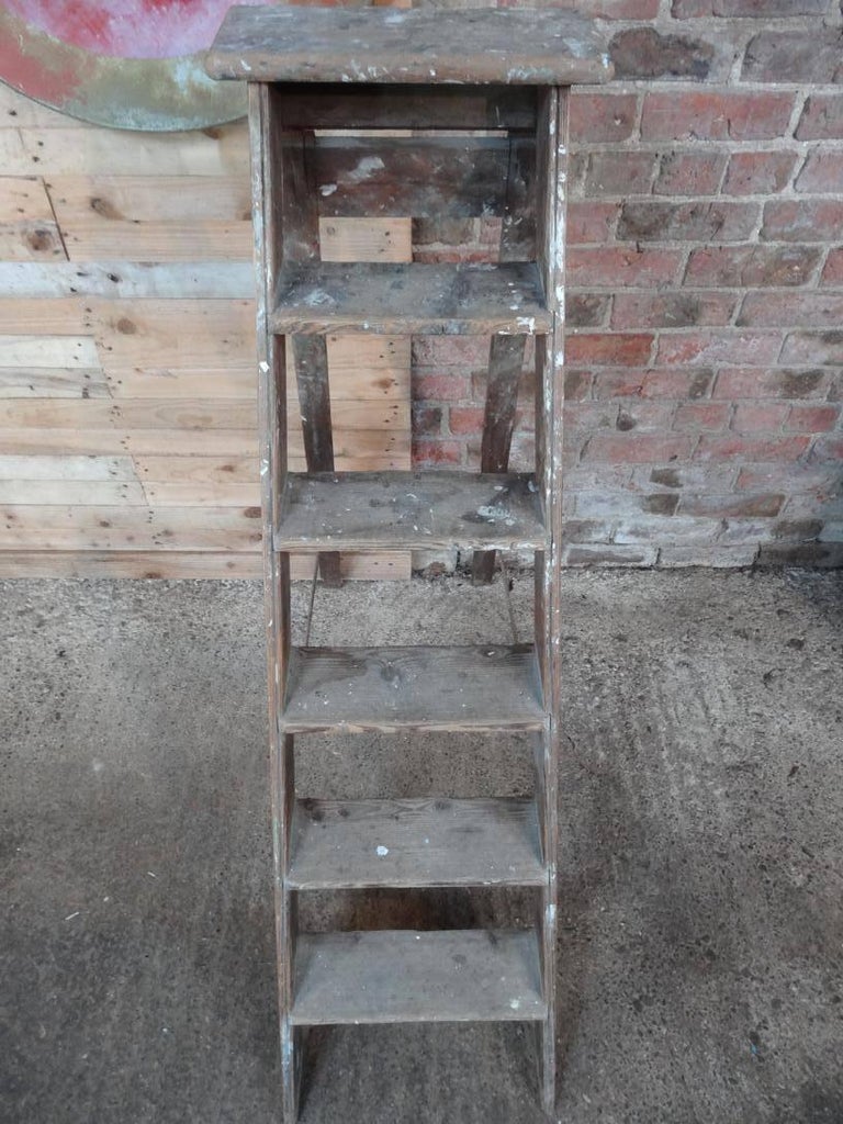 20th Century 1900s French Vintage Fruit Picking Painting Ladder Library Ladder /Shop Display For Sale