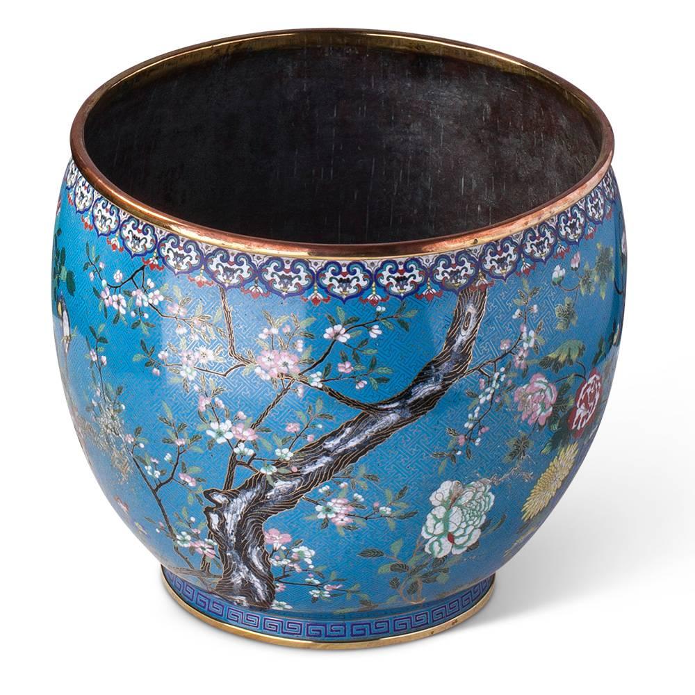 Chinese Large Jardiniere Cloisonné Enameled from the Qing Dynasty, Late 19th Century
