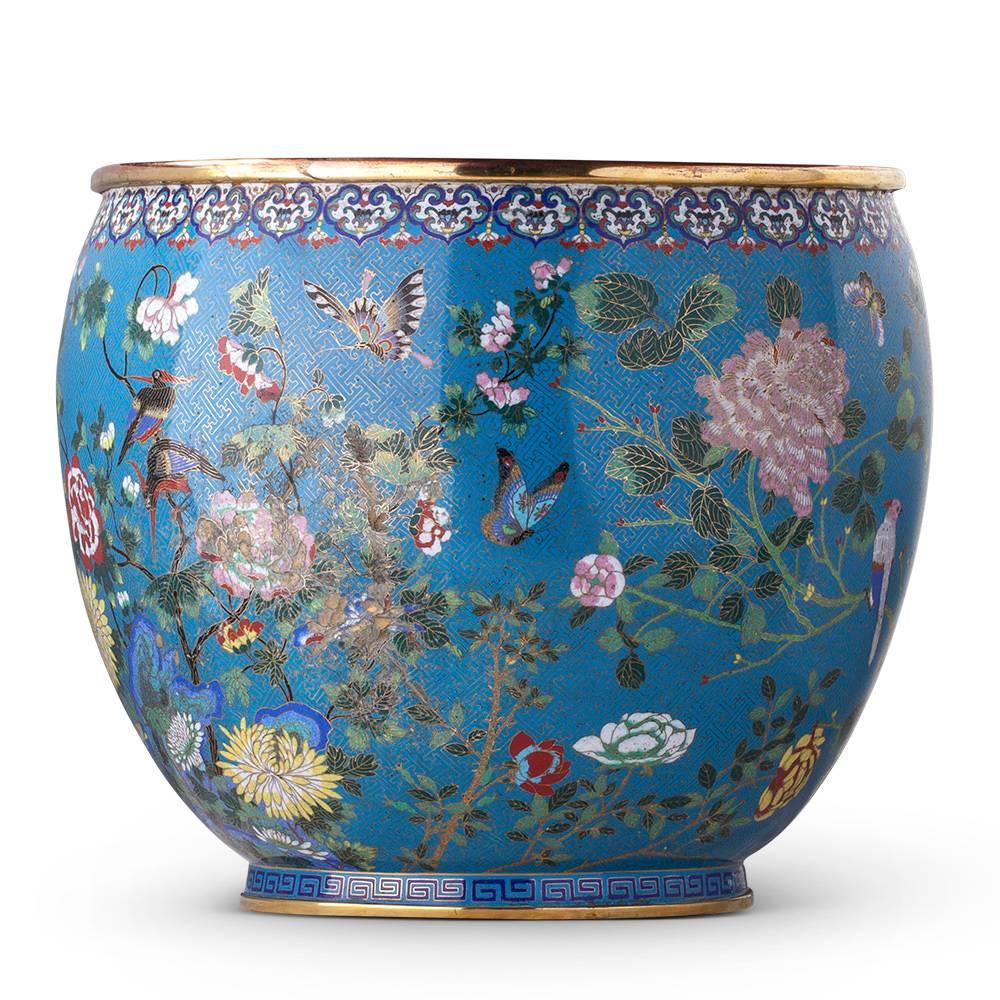 Large Jardiniere Cloisonné Enameled from the Qing Dynasty, Late 19th Century In Good Condition In Lesquin   , FR