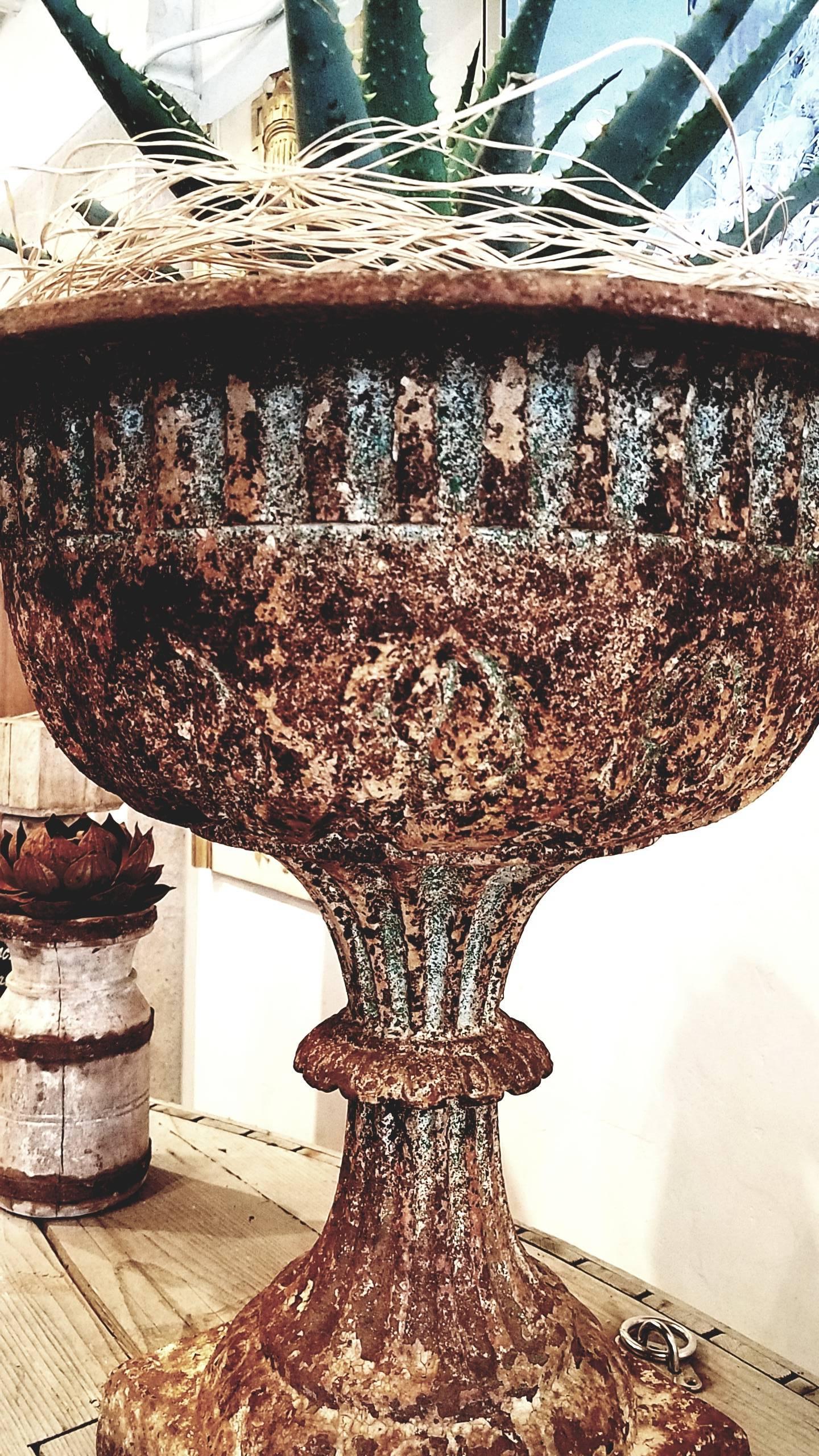 Paint 19th Century Cast Iron Urn with Leaf and Groove Design For Sale