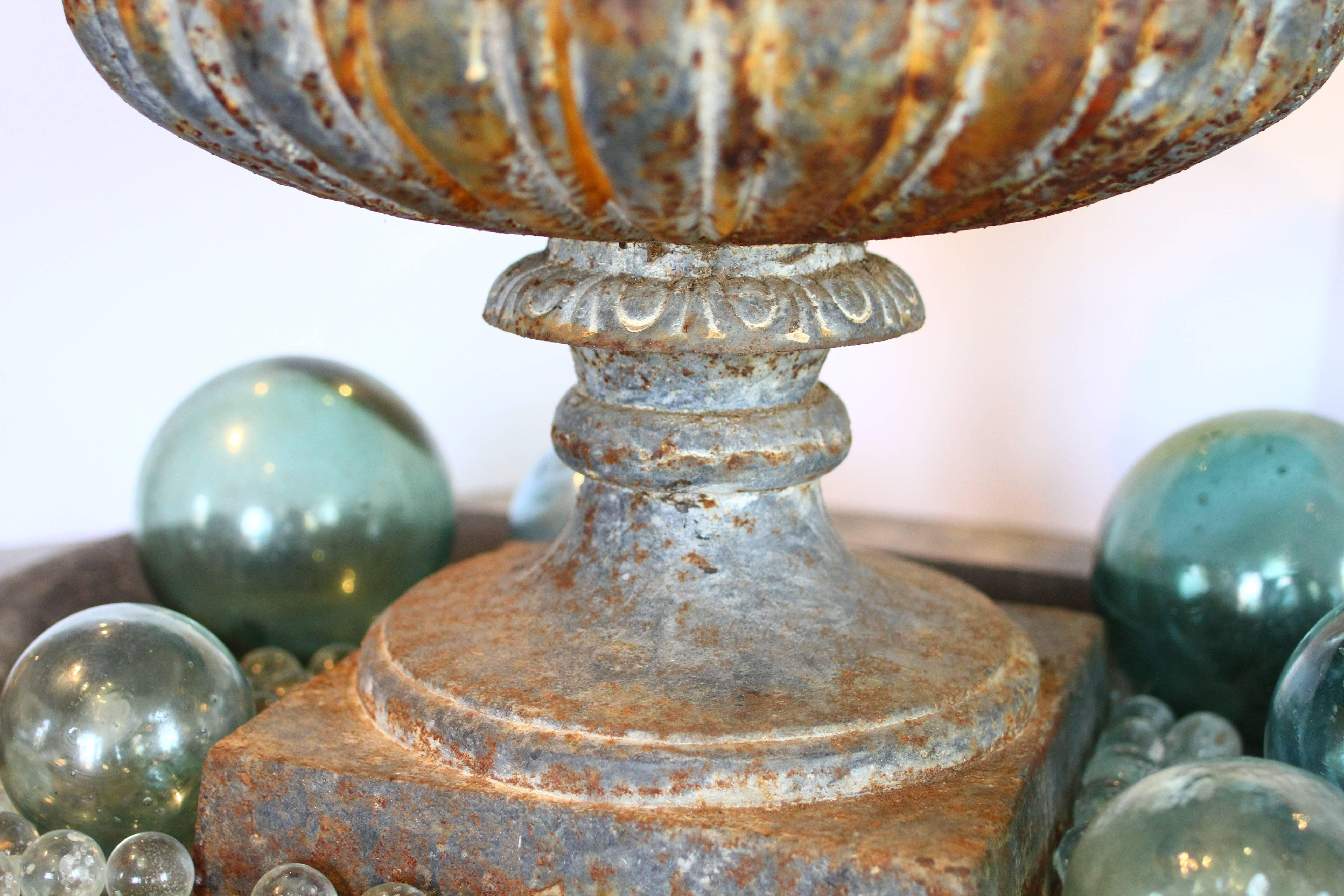 French Provincial Gorgeous 19th Century French Cast Iron Garden Urn with Egg and Dart Rim