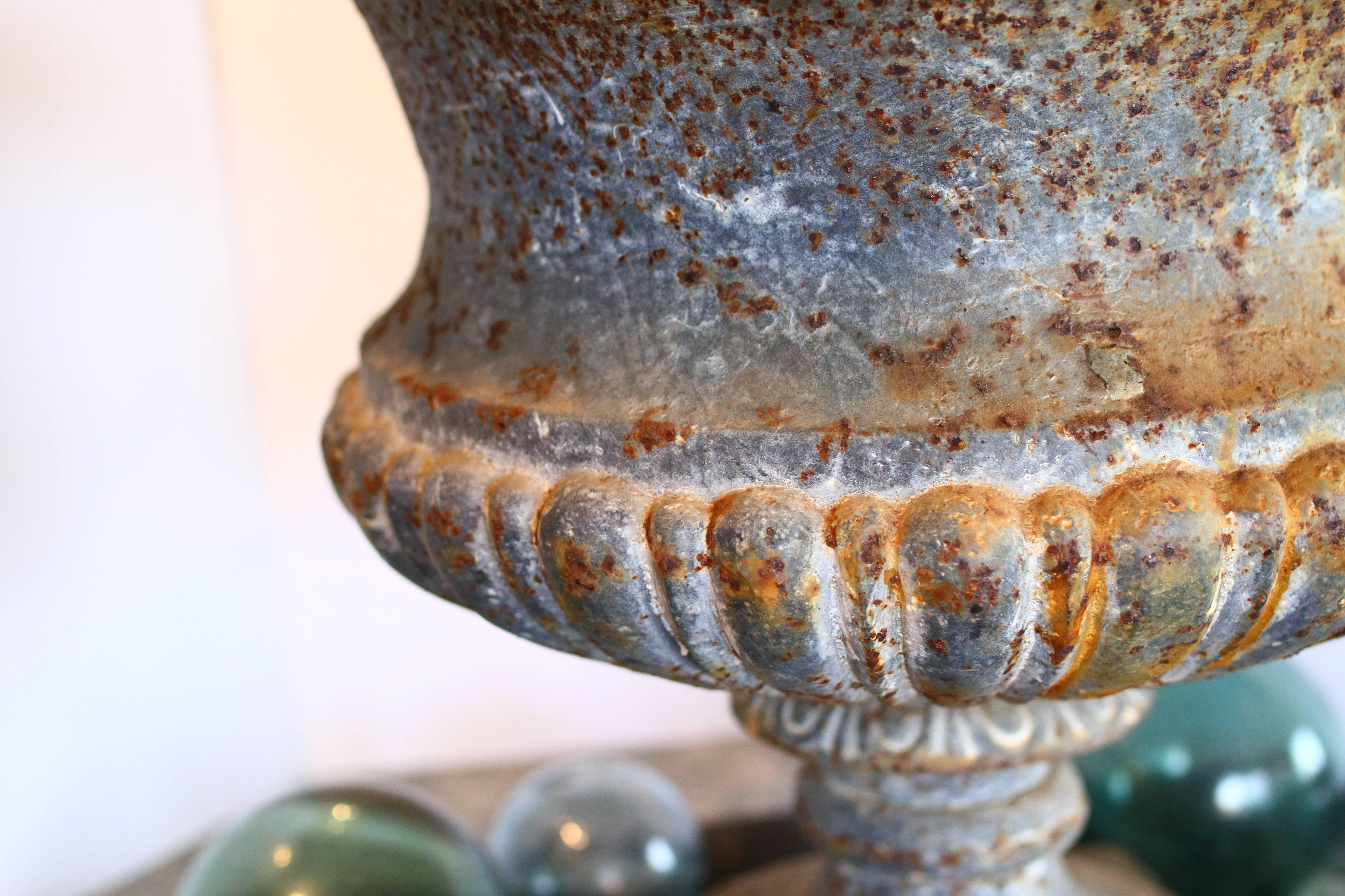 Gorgeous 19th Century French Cast Iron Garden Urn with Egg and Dart Rim 1