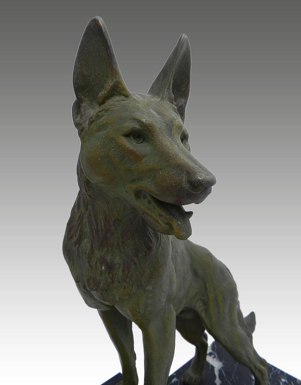 Handsome Art Deco dog signed L Carvin 1875-1951 statue.
German Shepherd.
Spelter Verdigris.
On a black variegated marble base.
L Carvin signed in the marble right hand side front.
Louis Albert Carvin was especially known for his German Shepherd