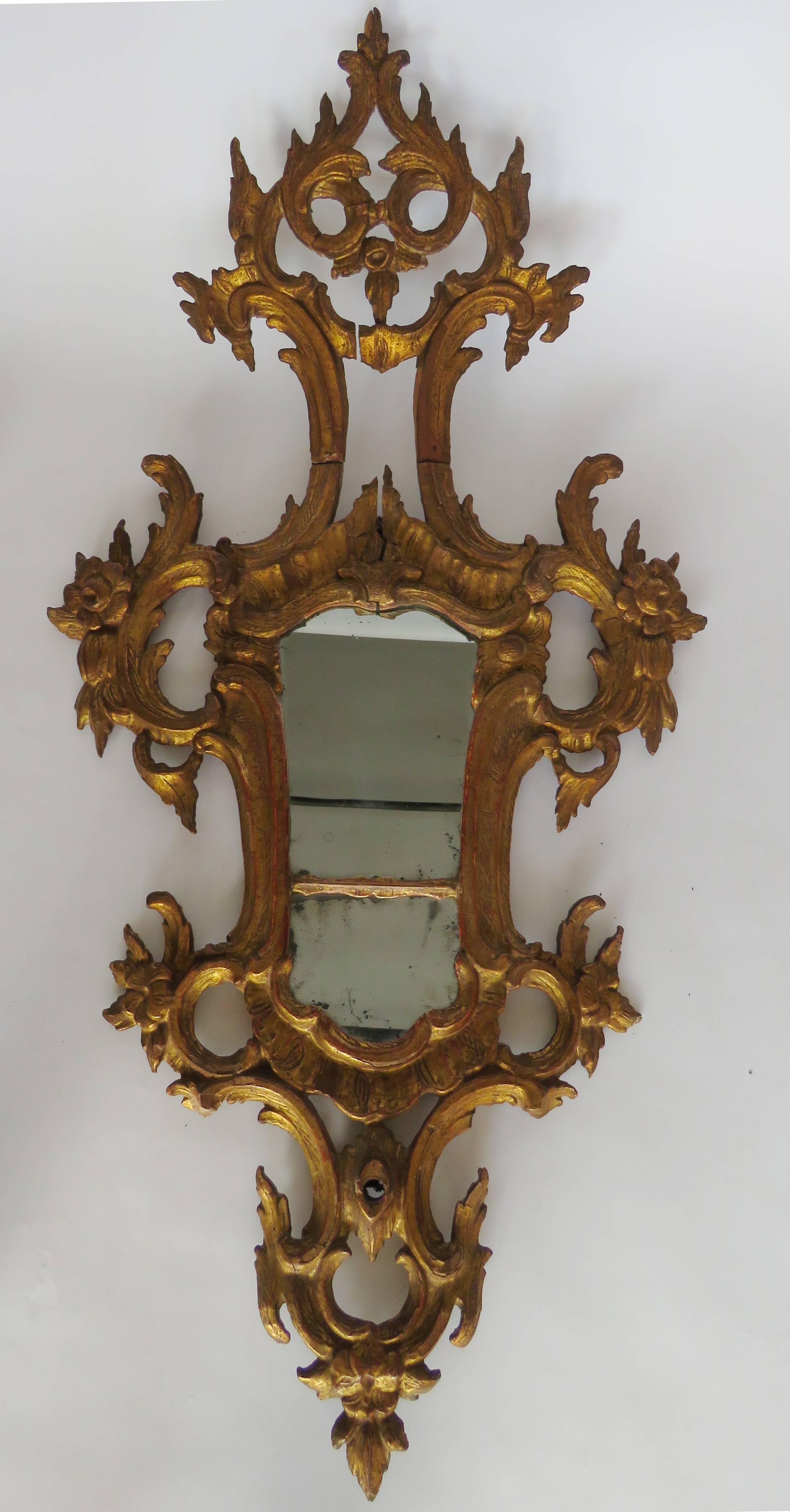 Each with cartouche shaped plate framed with gilt scrolling foliate vines surmounted by angled elongated plumed crests. Everything original.