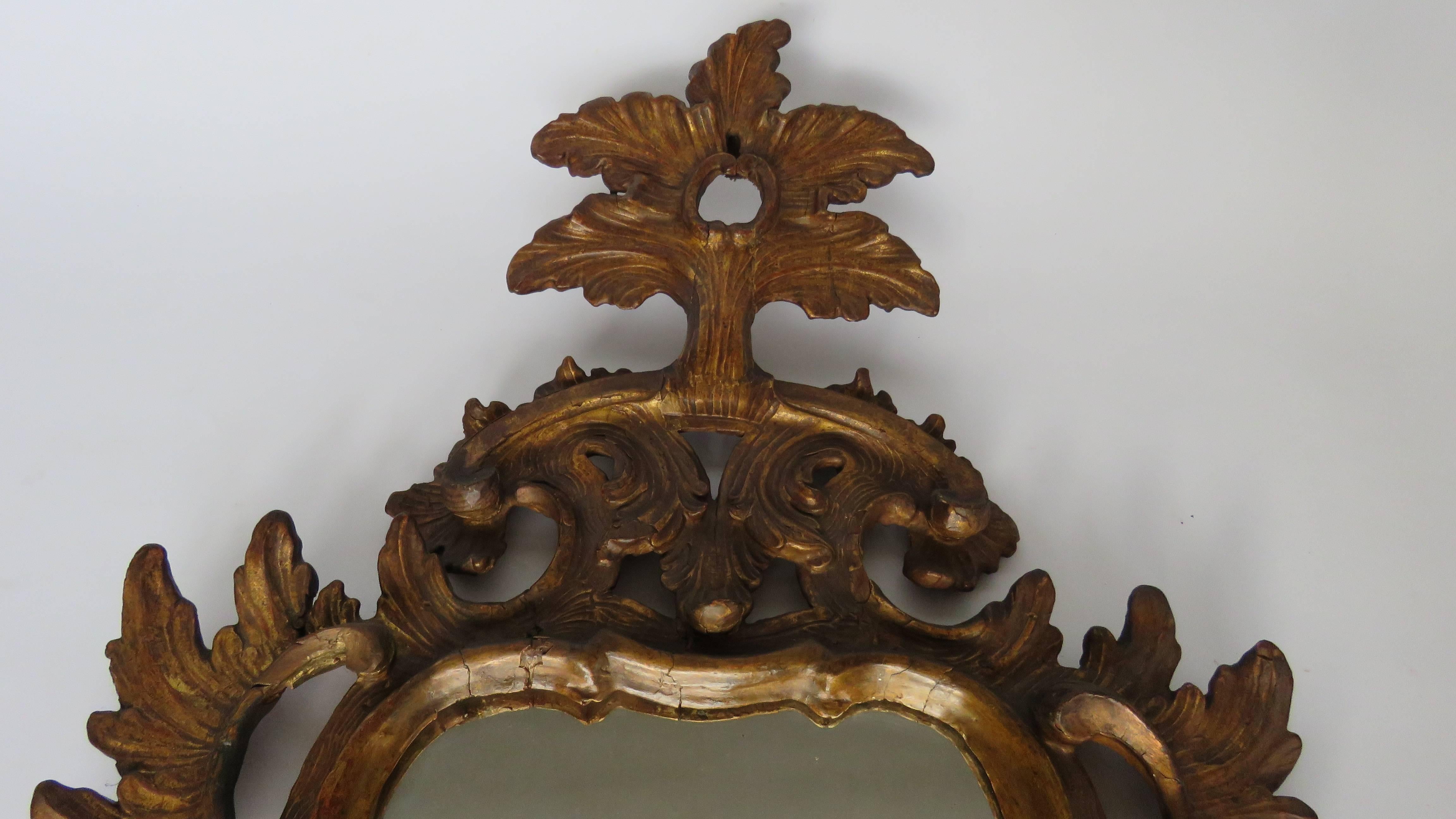 Each with cartouche shaped plate framed with gilt scrolling foliate vines surmounted by angled elongated plumed crests. Mirrors included.