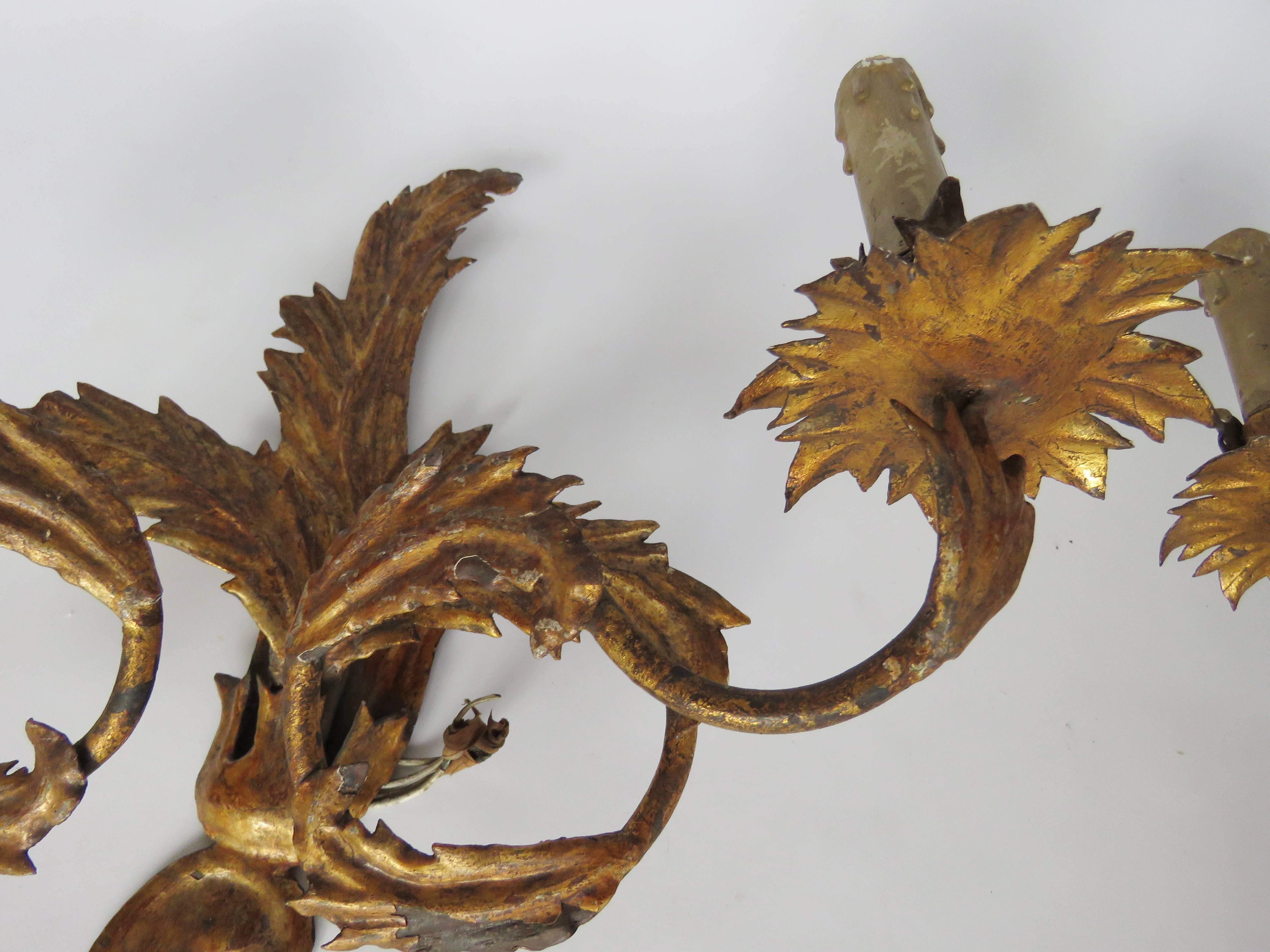 19th Century Pair of Gilt Tole Sconces (19. Jahrhundert) im Angebot