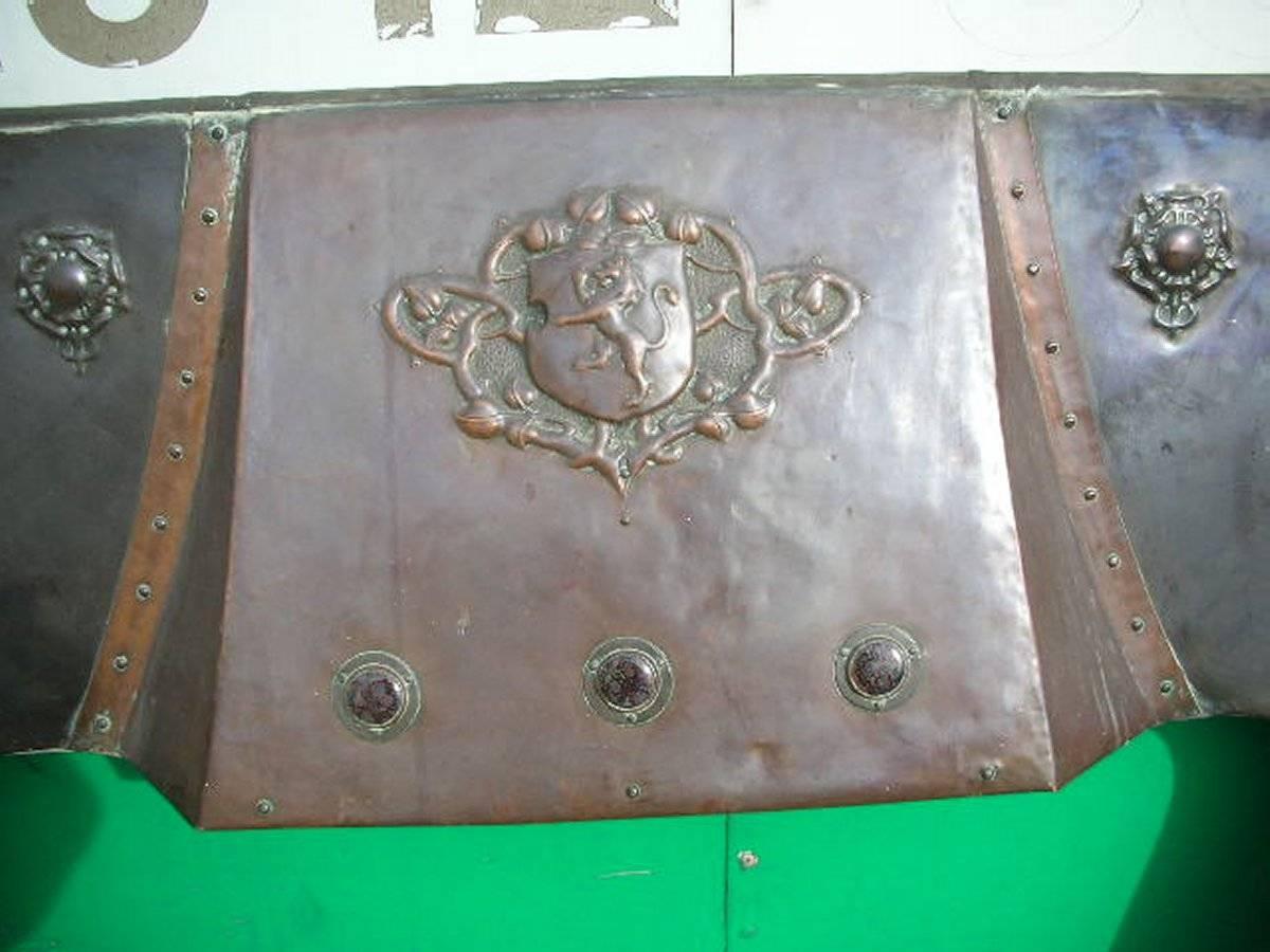 Late 19th Century Large Arts and Crafts Copper Fire Insert with a Lion in a Shield Crest For Sale
