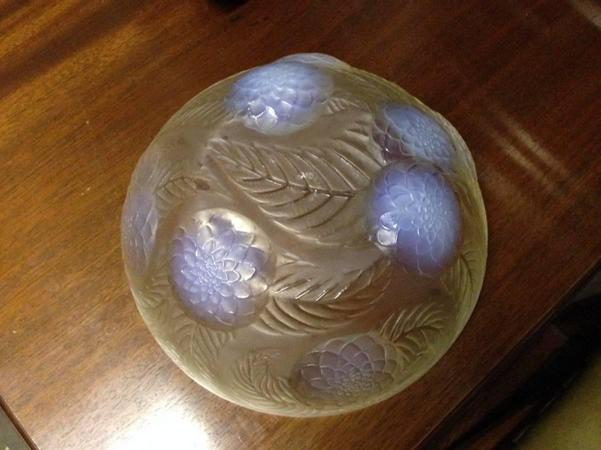 Early 20th Century Lalique Dahlias Fruit Bowl with Vivid Vaseline Details to the Dahlia Heads