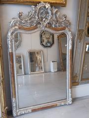 French Antique Gold and Silver Leaf Napoleon III Mirror