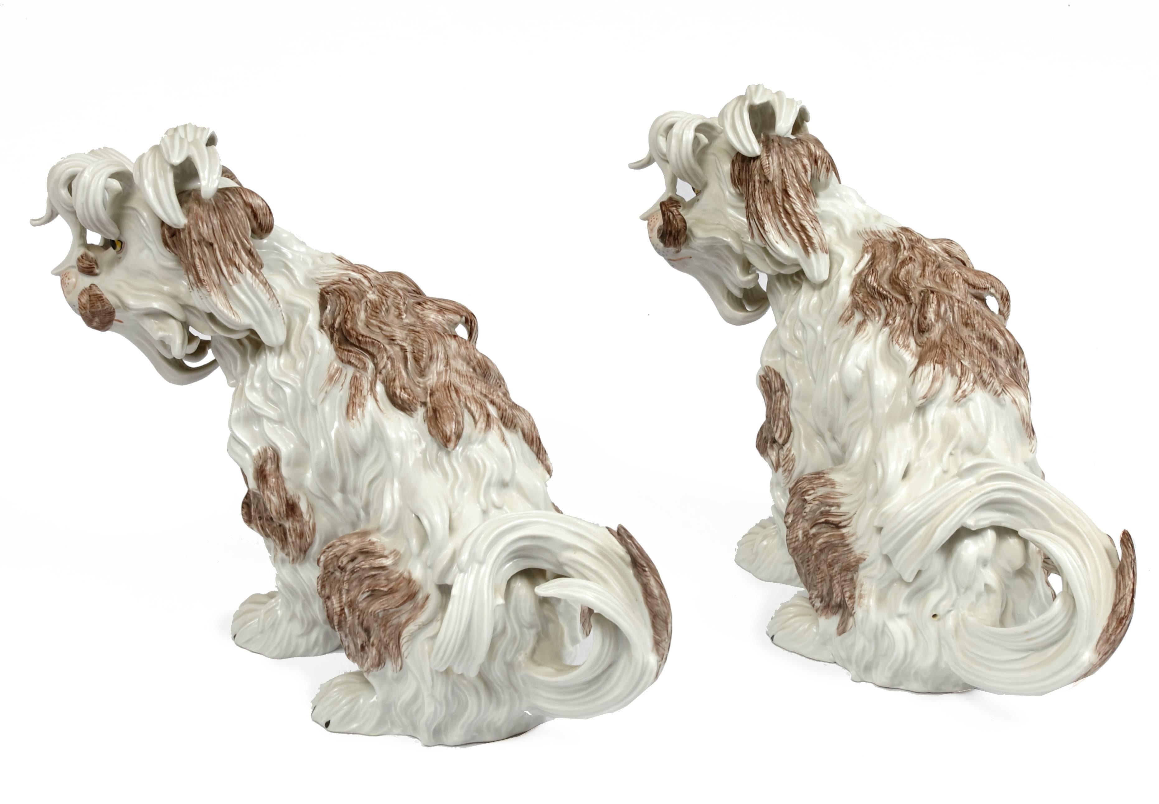 Impressive pair of Dresden porcelain Bolognese seated dogs which were made famous by Johann Kandler in the 18th century for Meissen. One dog is marked in blue on the bottom. 
They are both 14 inches long, 6 inches wide and 9.75 high.